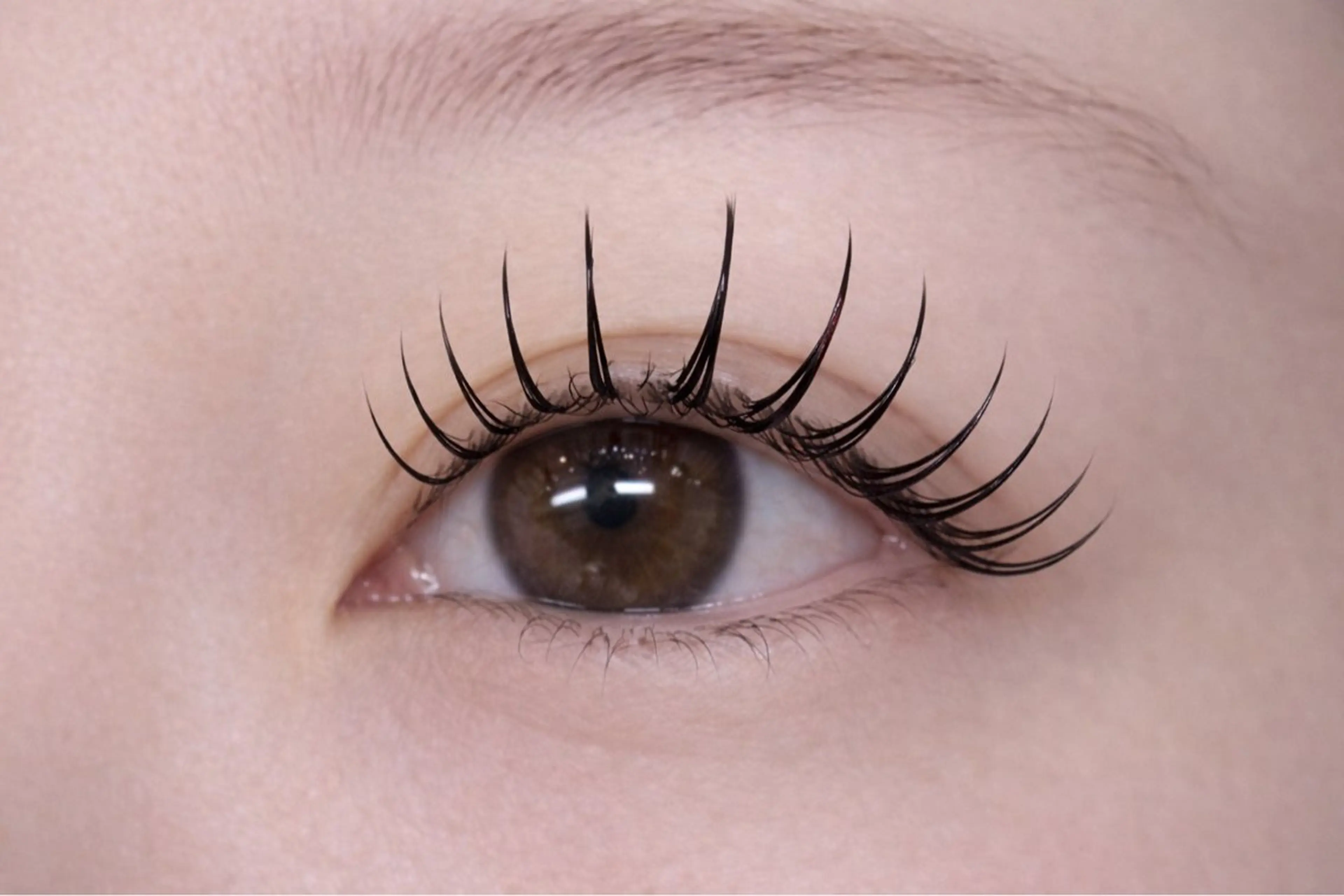 🇫🇷パリジェンヌラッシュリフト🇫🇷アイシャンプー付🧴🫧お客様に似合う口ッドお選び致します👀✨の写真