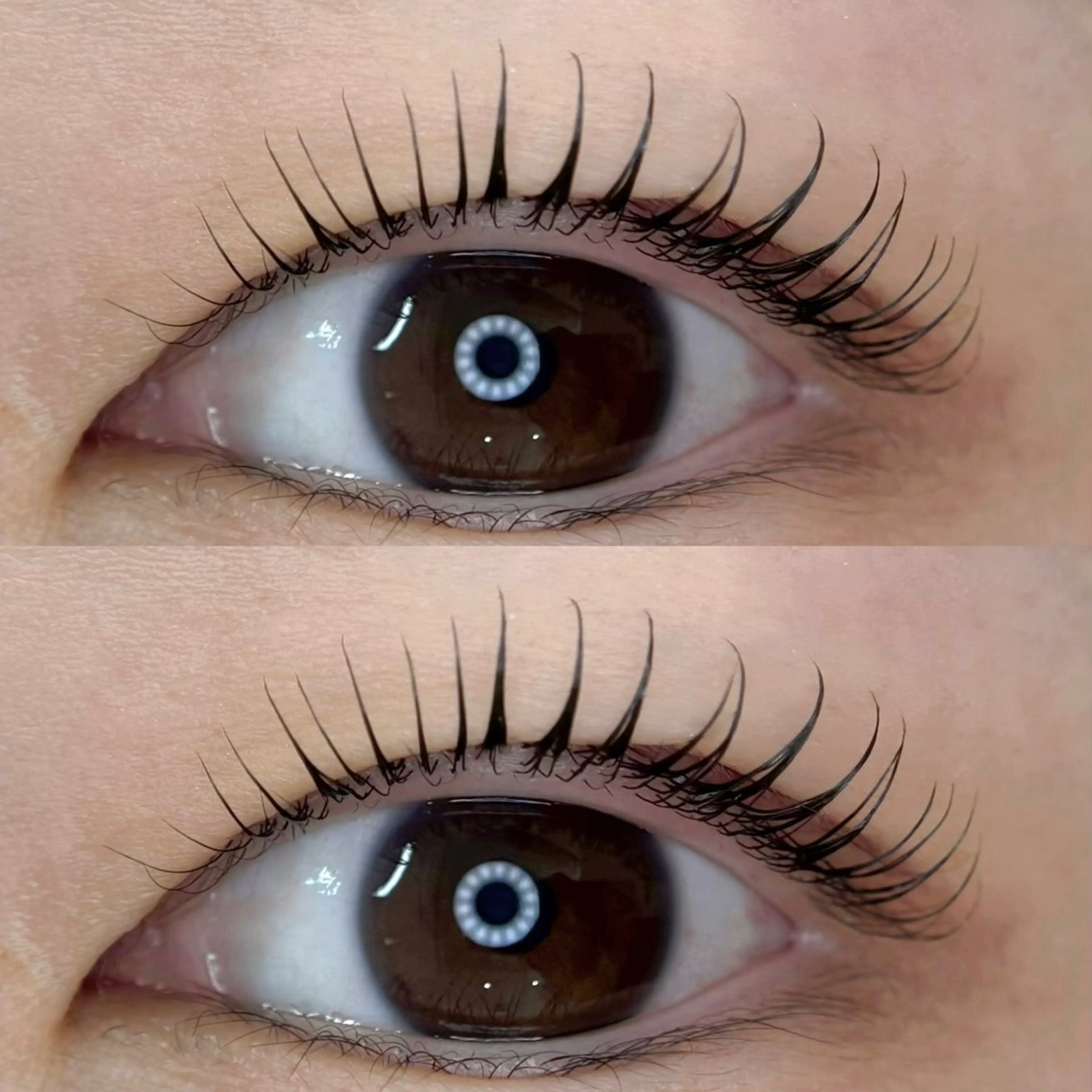 マツエク・マツパ MEME🐰 上本町/谷九のマツエク・マツパデザイン