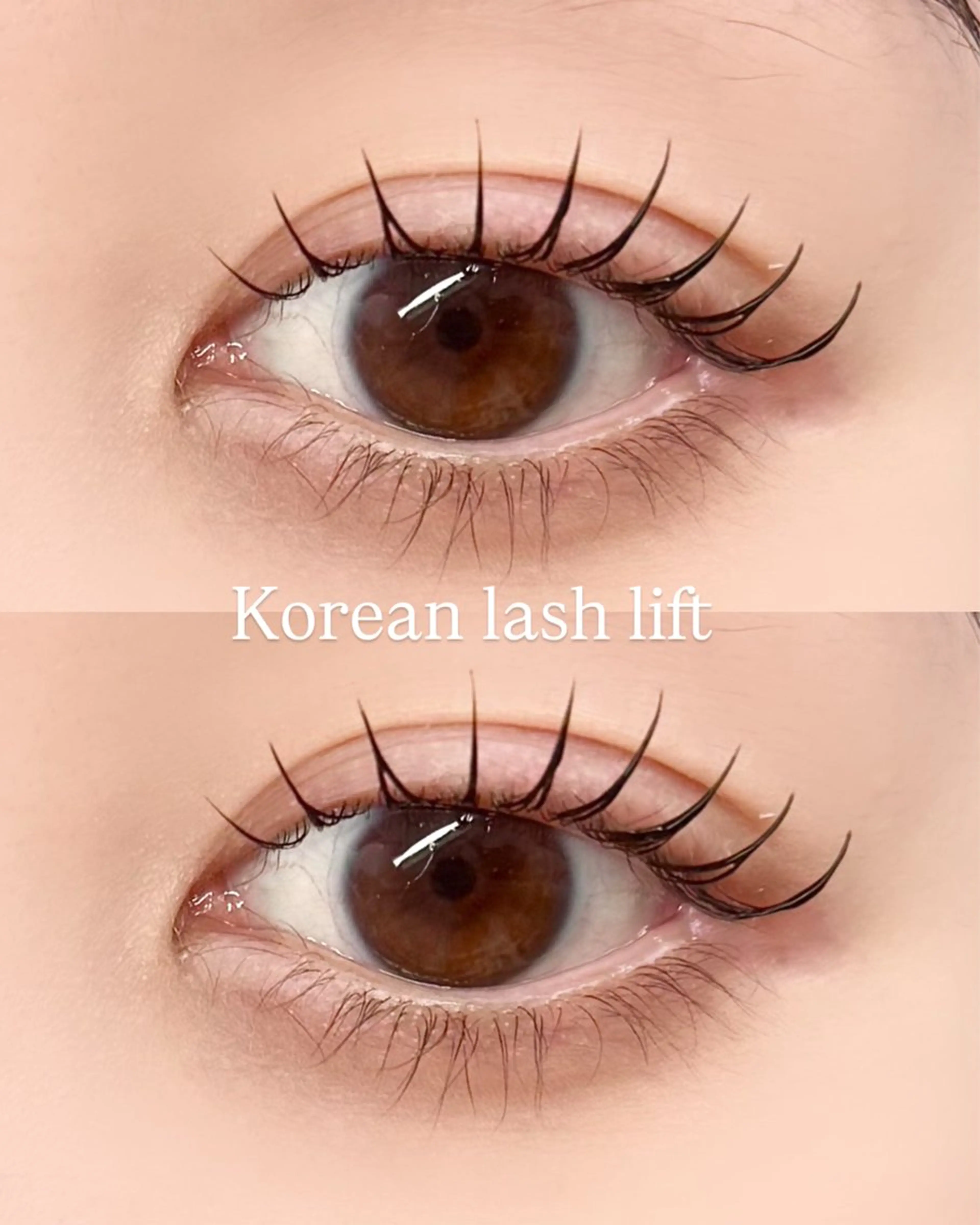 マツエク・マツパ Appui所属・《韓国束感まつパ》 ☁️ユウミのマツエク・マツパデザイン