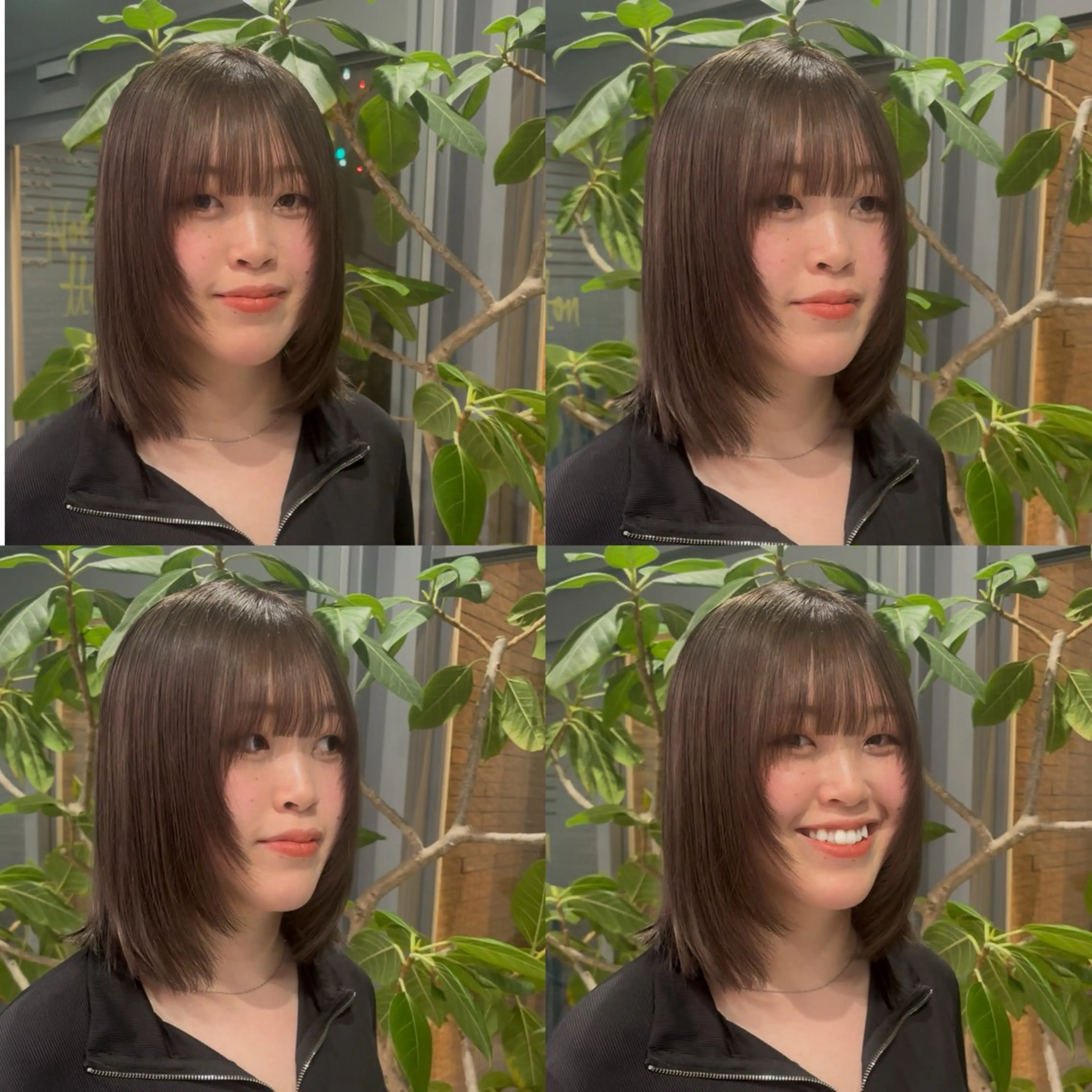 ミディアム カット 🐈‍⬛JUMI /透明感カラー/🩶のヘアスタイル