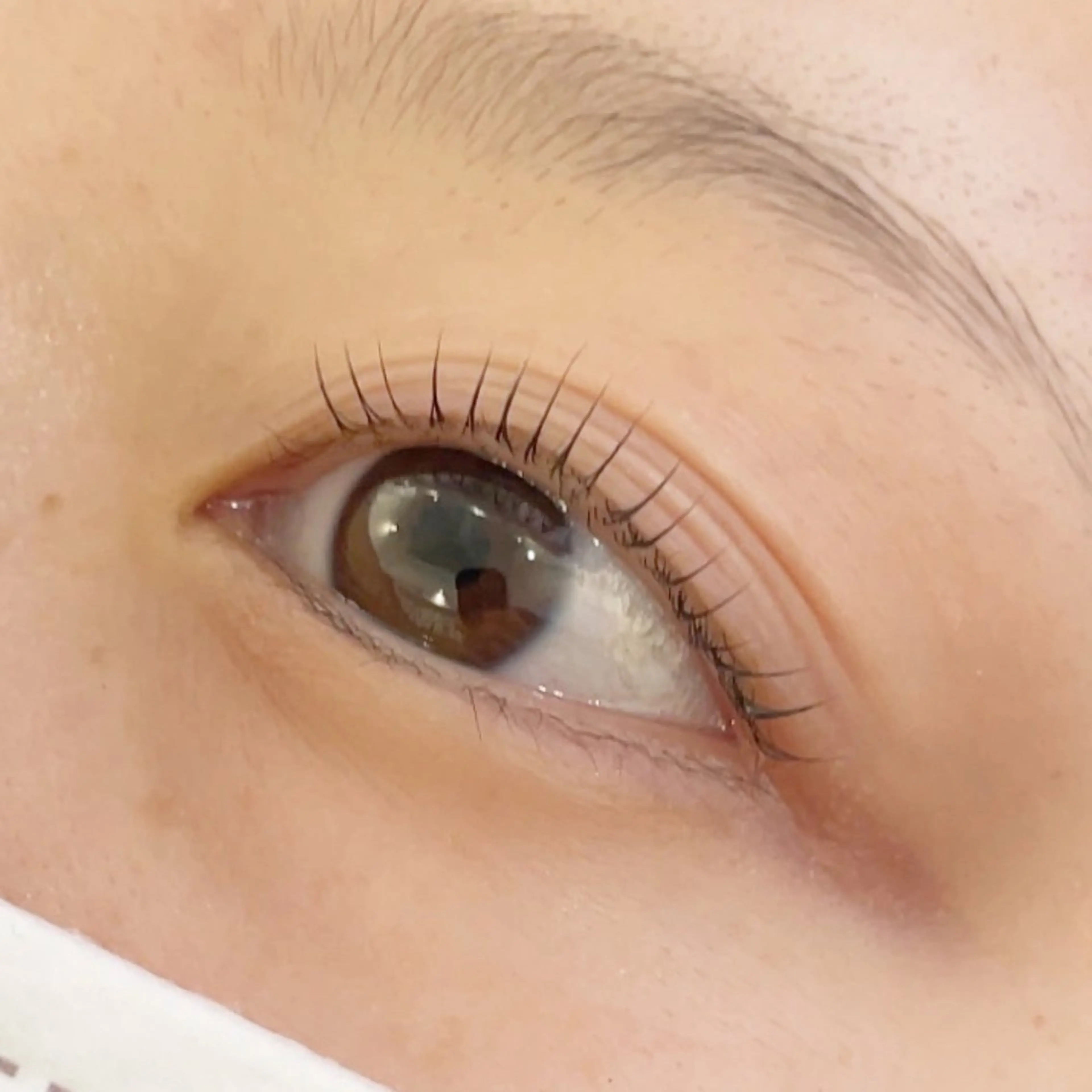 マツエク・マツパ マツパ 下北沢🩰 YUKIKO ☆のマツエク・マツパデザイン