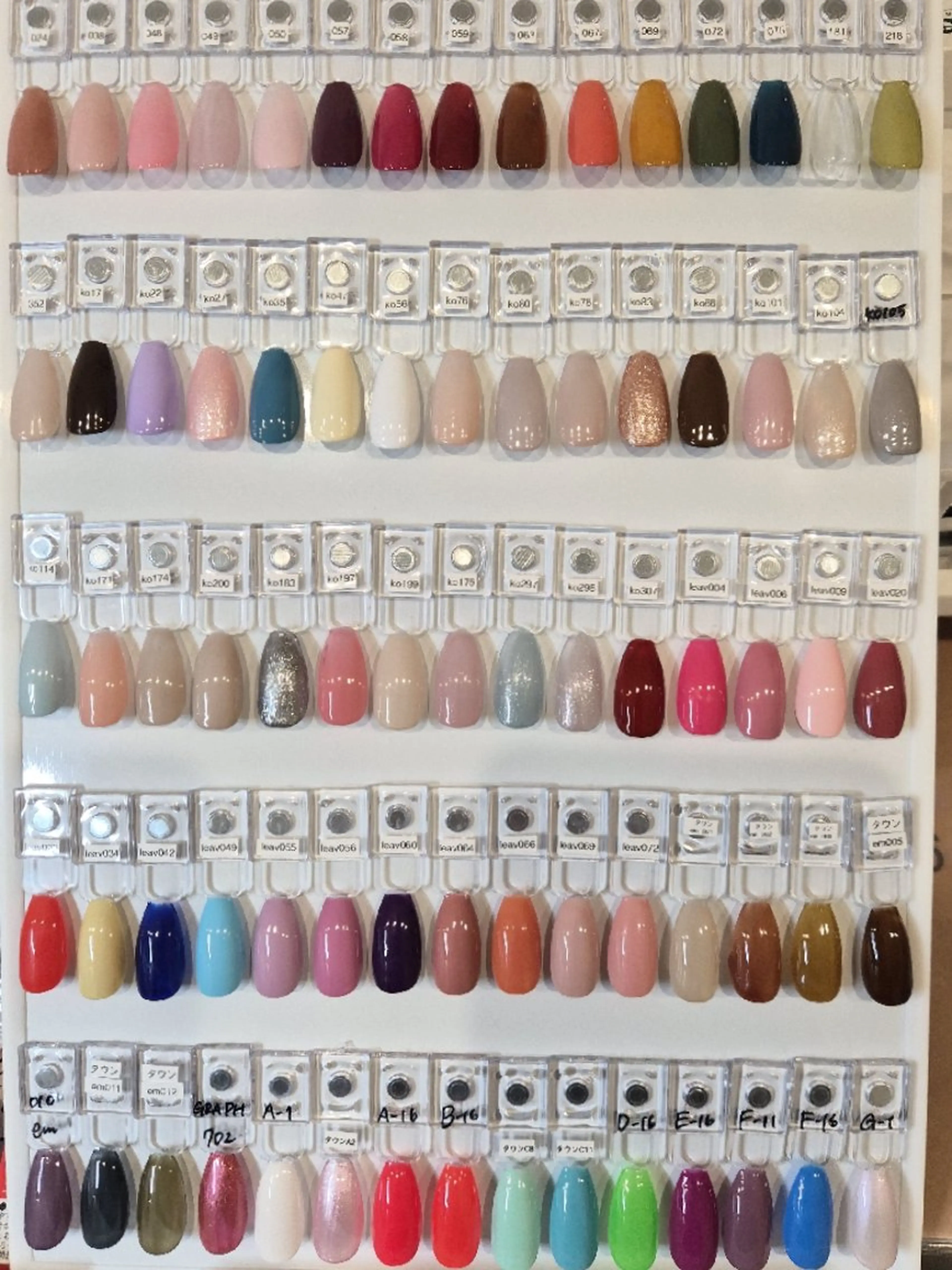 ワンカラー¥4200→¥3200✨2色までお選びいただけますの写真