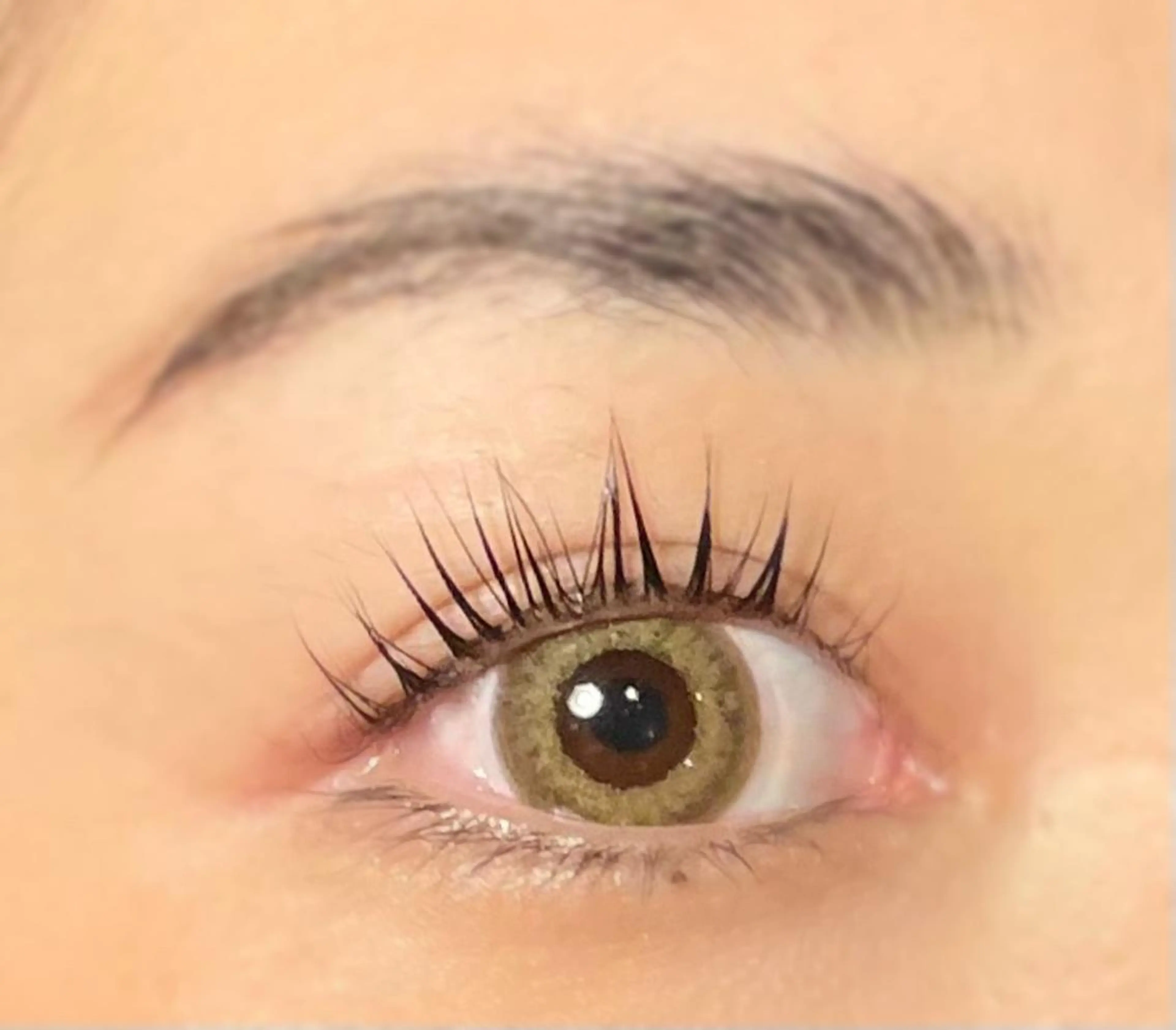 マツエク・マツパ パリジェンヌラッシュリフト マツパ 山城 エスタの眉毛・アイブロウイメージ