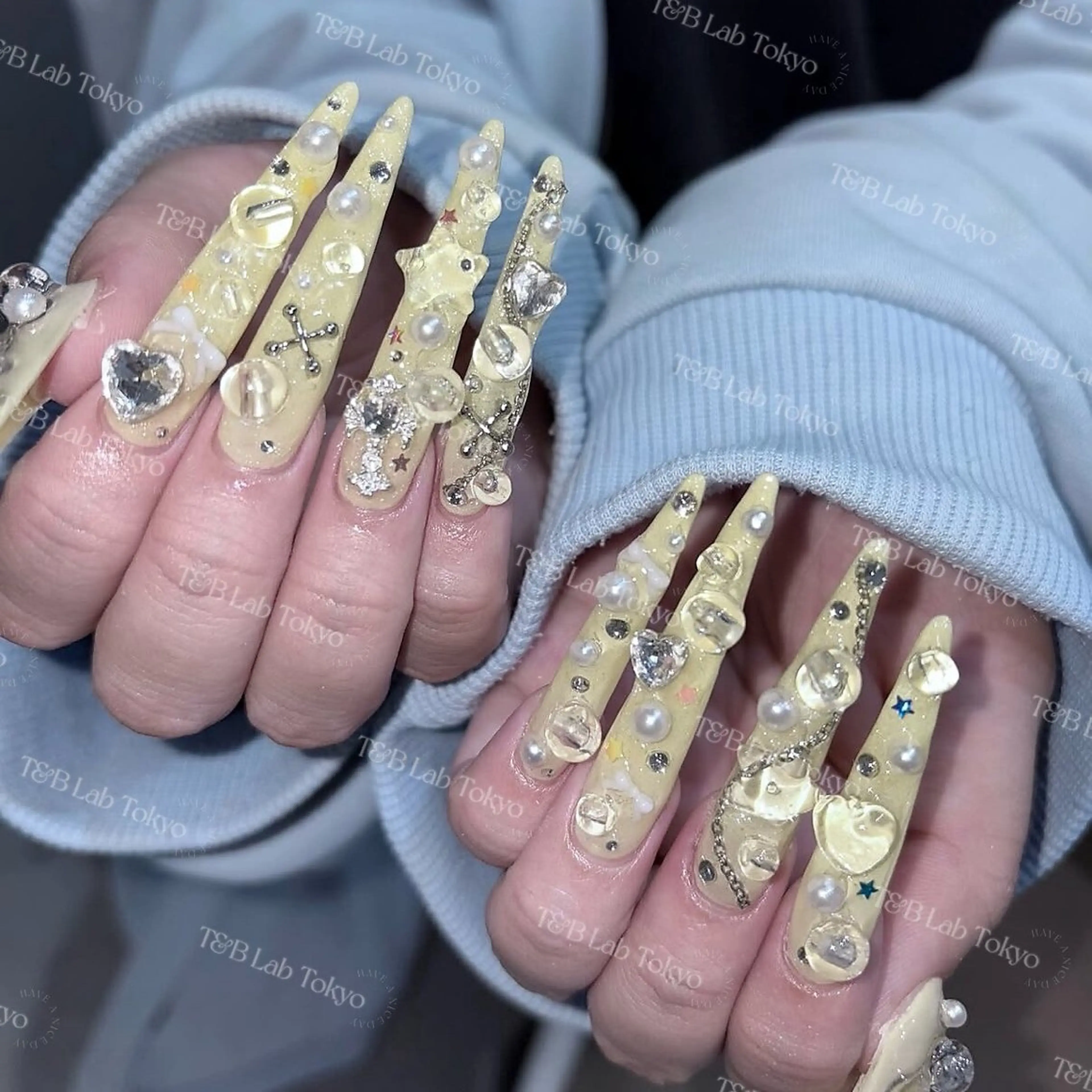 ネイル ハンドネイル 【パラジェル・フィルイン】 T&BNAIL STUDIO所属・ナ サギ ロング無制限中のネイルデザイン