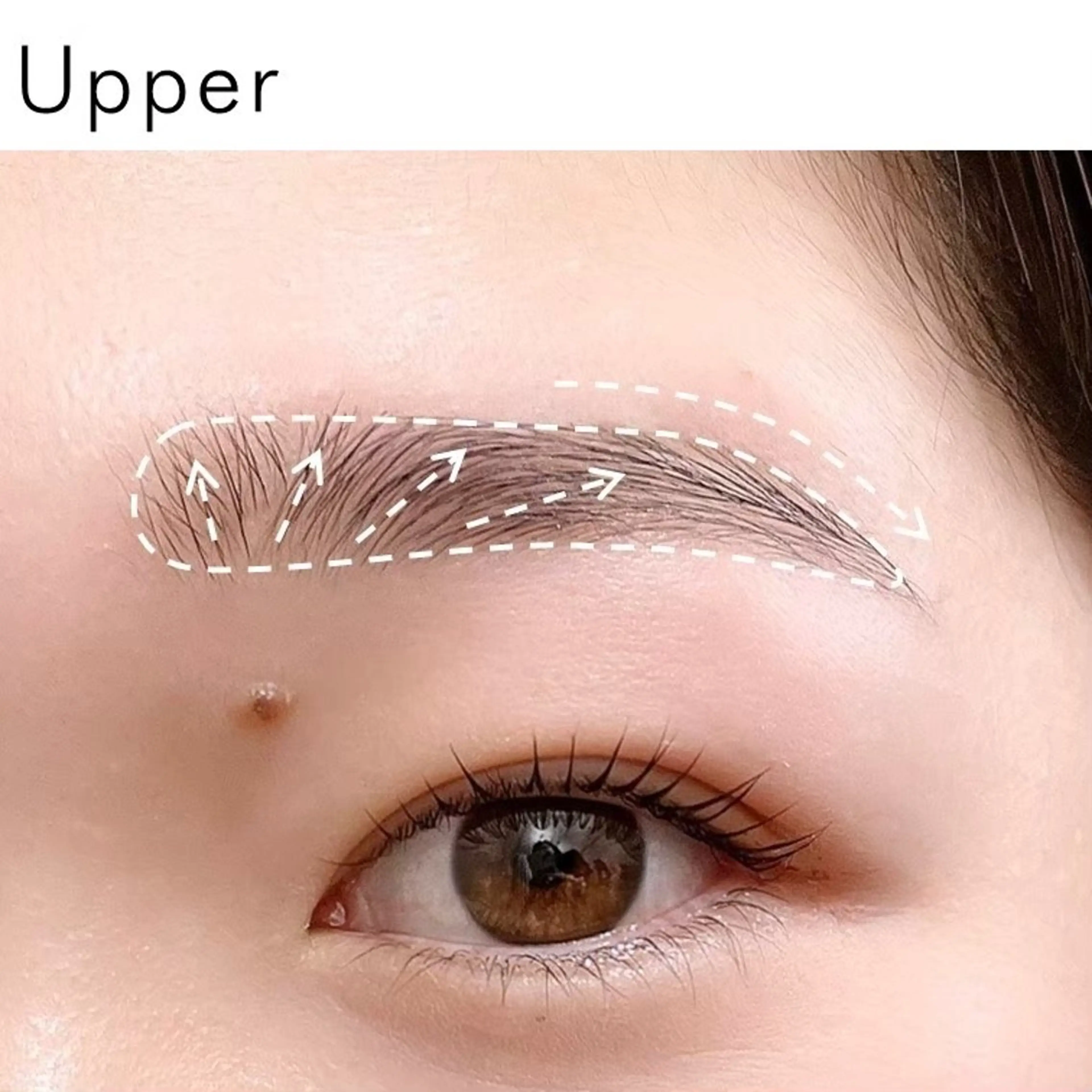 アイブロウ トレンド眉🪄 maoの眉毛・アイブロウイメージ