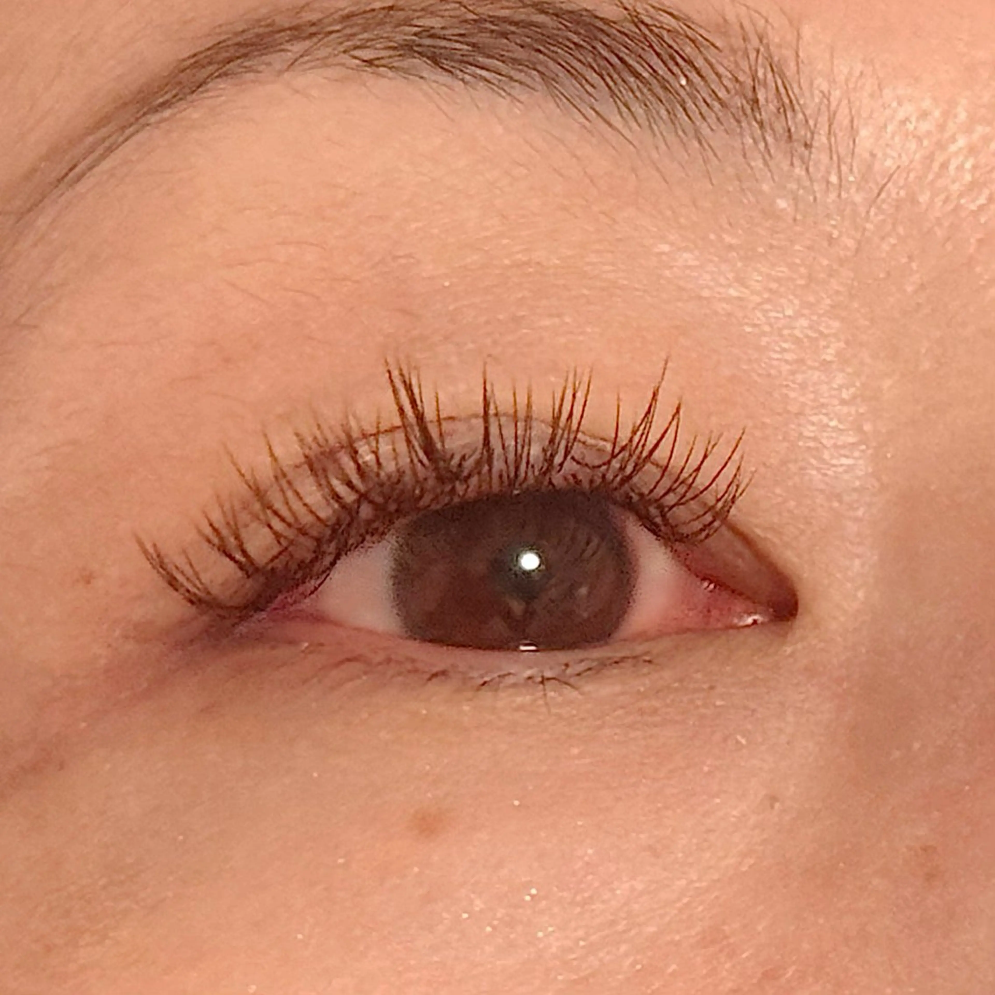 マツエク・マツパ マツエク U eのマツエク・マツパデザイン