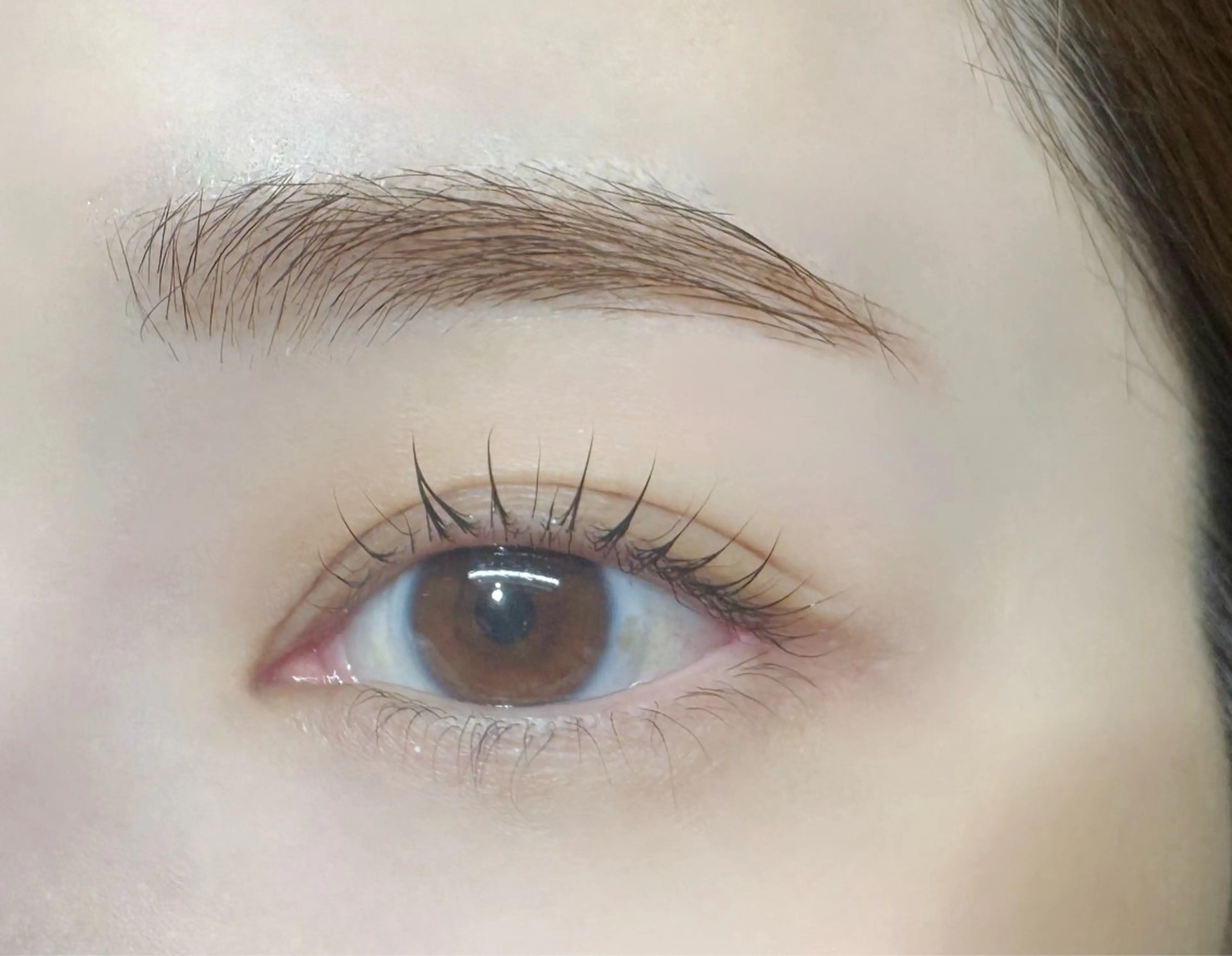 まつげパーマ(トリートメント付)✖️アイブロウワックス🌙の写真