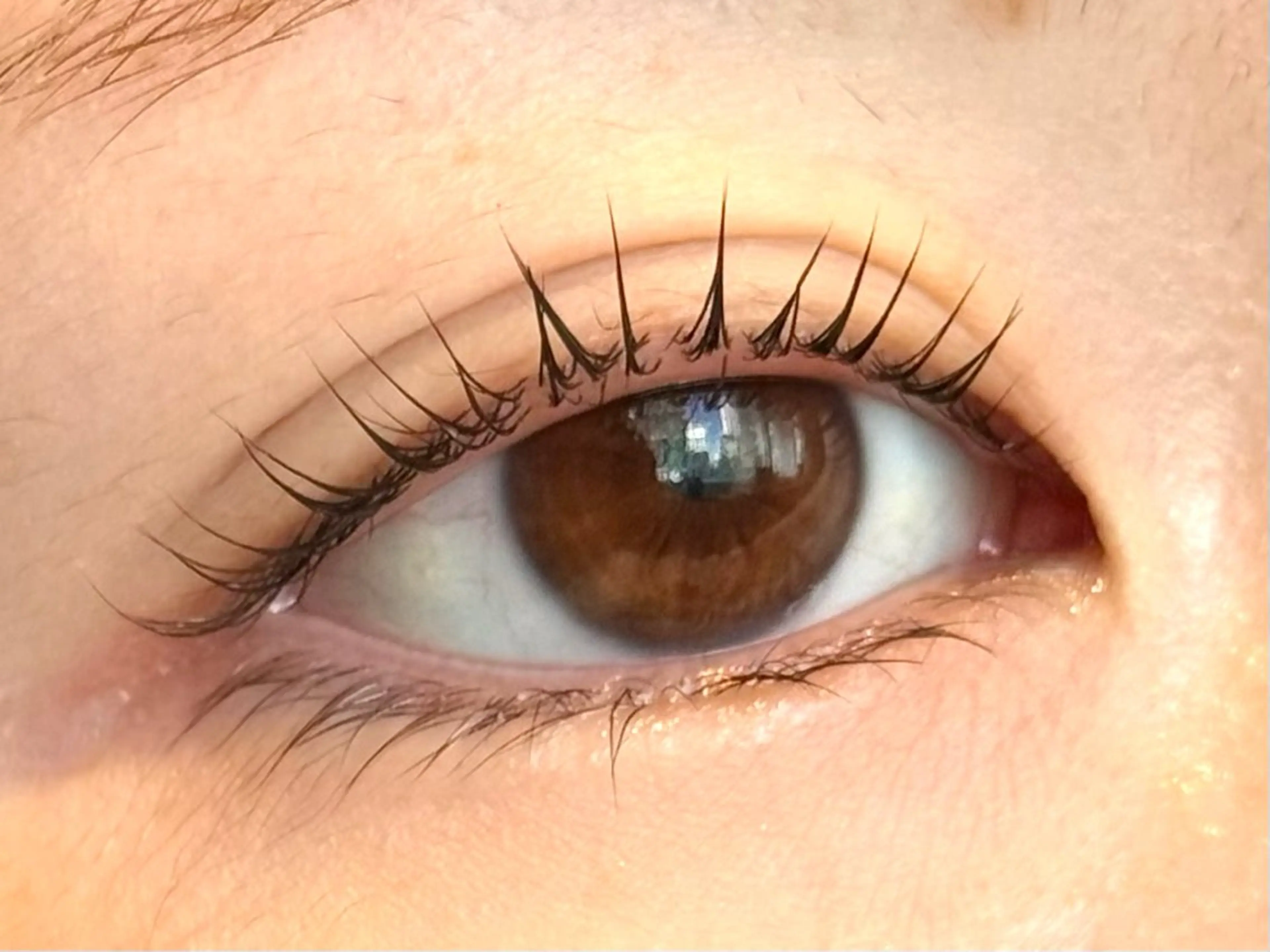 マツエク・マツパ eyelash salon RACOTA所属・MAYA .のマツエク・マツパデザイン