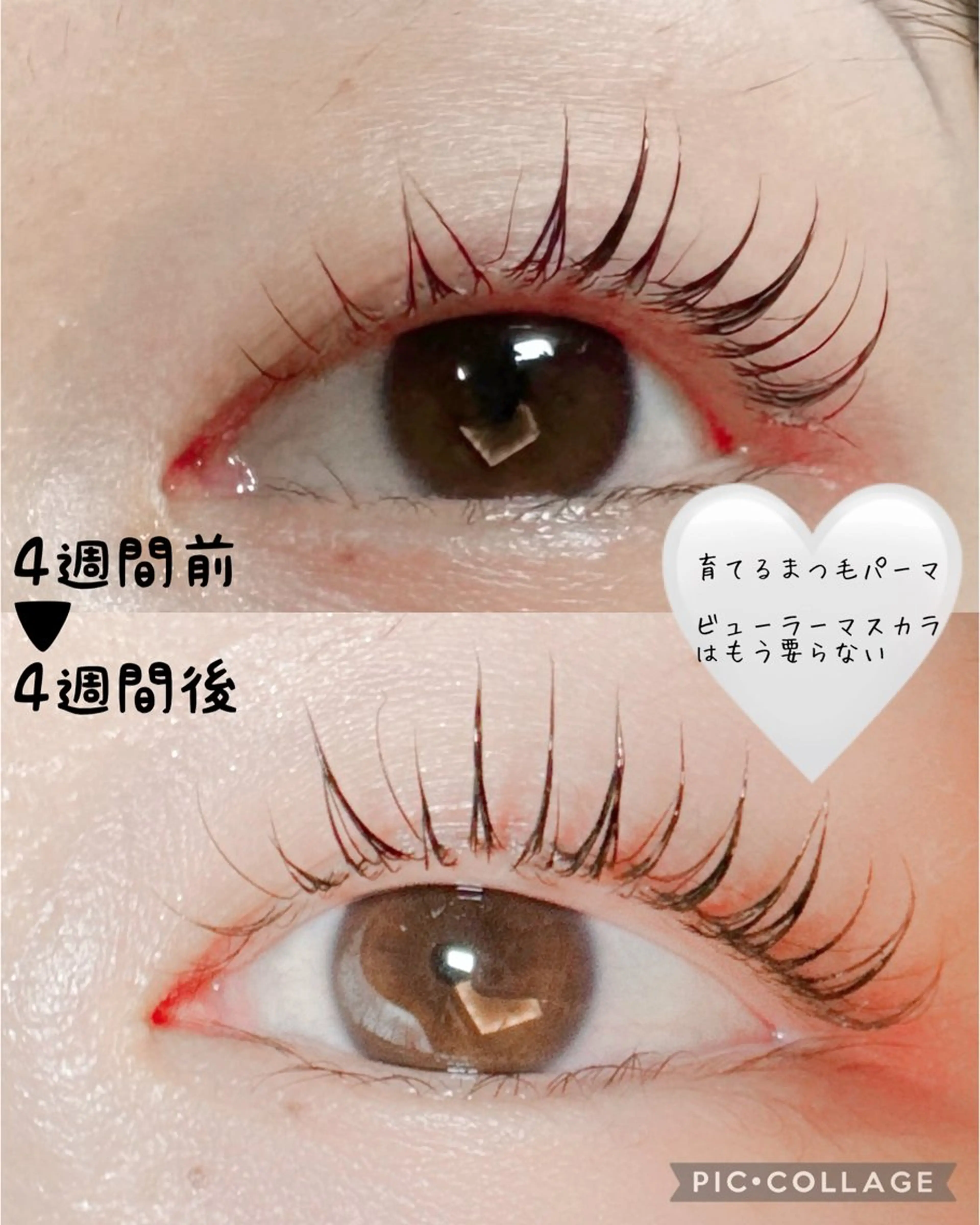 マツエク・マツパ 韓国風マツエク 一重×まつ毛パーマ ate eyelash 和泉府中店【まつげパーマ／ラッシ ユリフト/LED/東感バインド／眉毛】所属・もり まゆみのマツエク・マツパデザイン