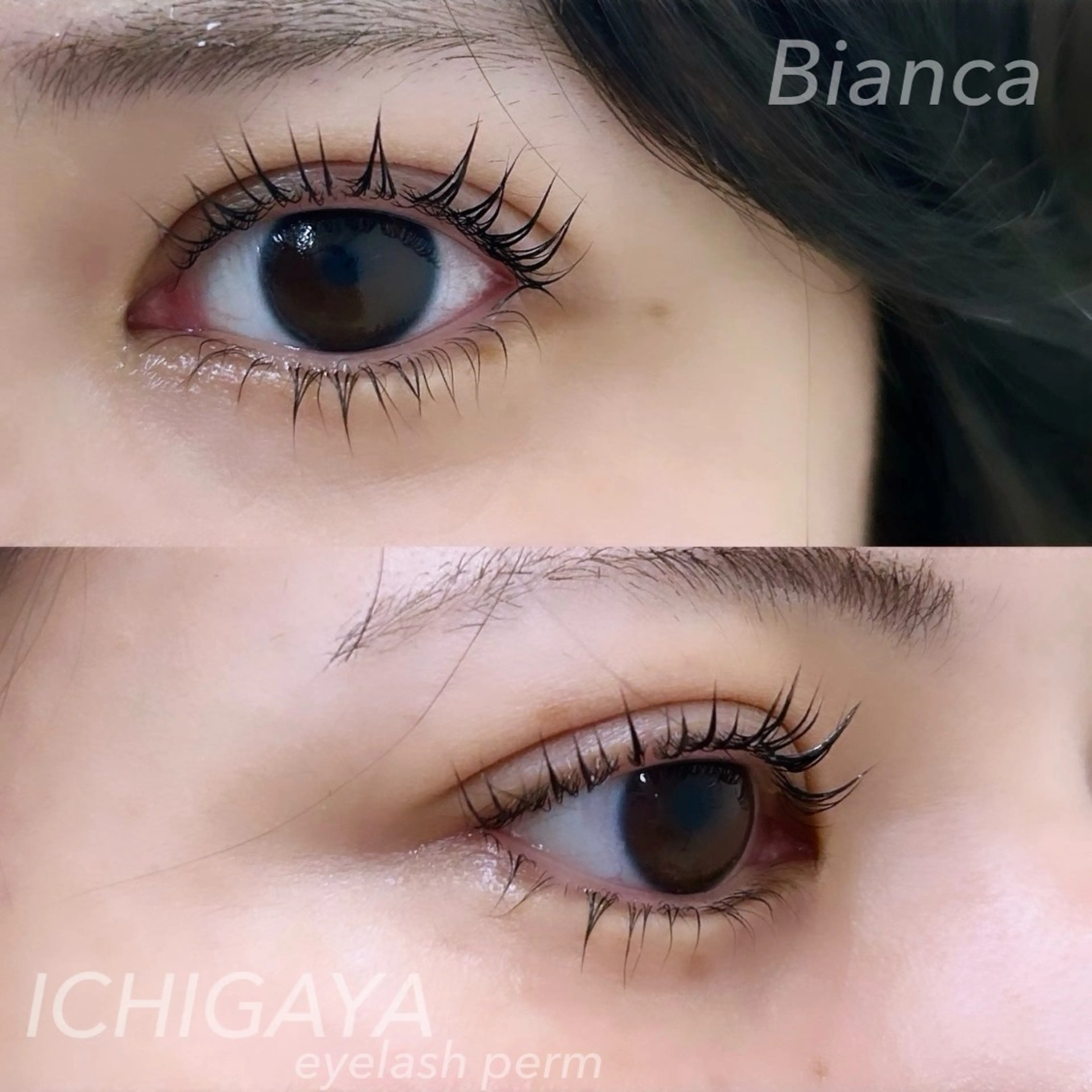 マツエク・マツパ フラットラッシュ パリジェンヌラッシュリフト まつげパーマ ワンホンマツエク マツパ Bianca 市ヶ谷 森川‪ 💗のマツエク・マツパデザイン