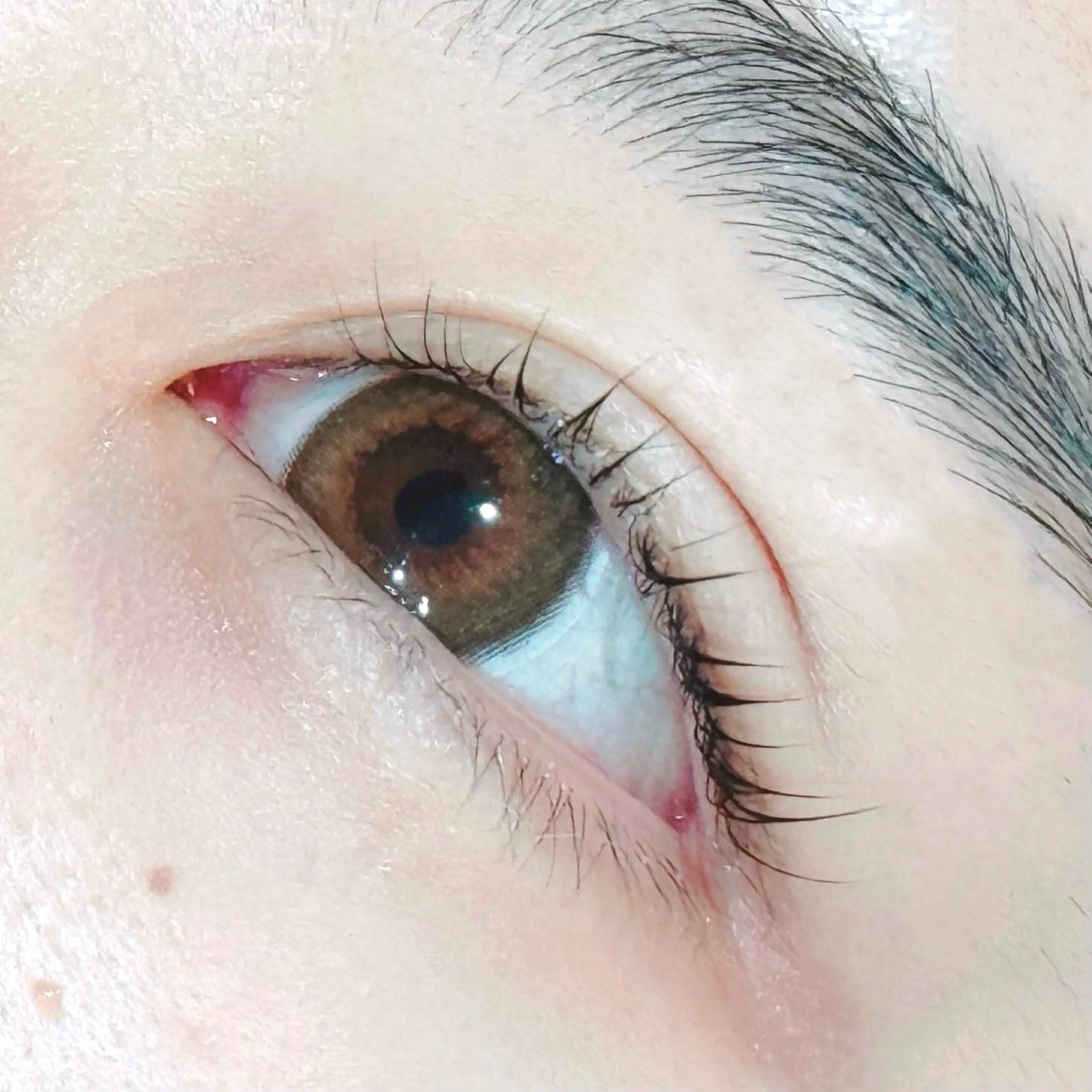 マツエク・マツパ パリジェンヌラッシュリフト August 大野のエステ・リラクイメージ