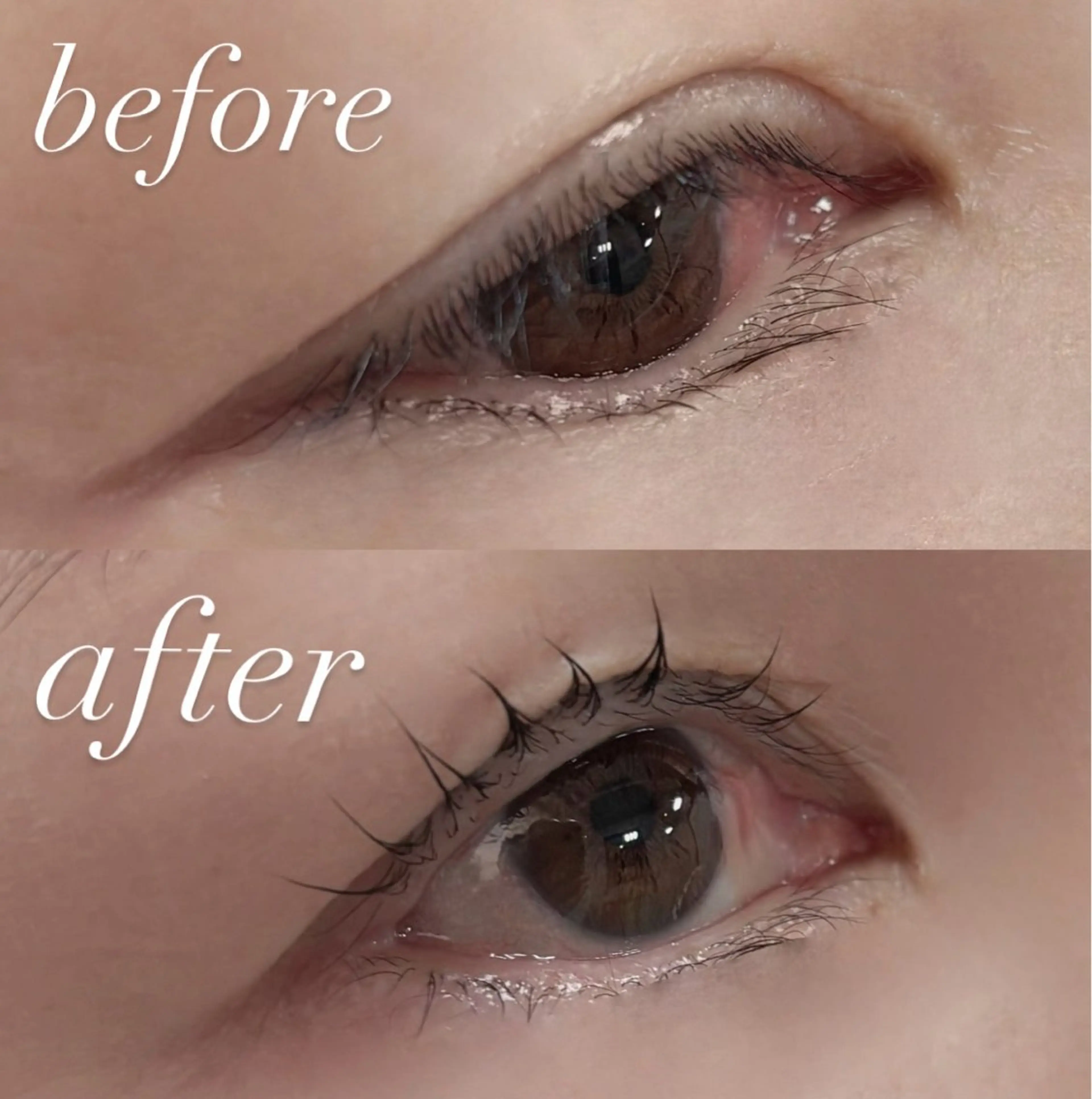 マツエク・マツパ マツパ 🏵️tico@ Risa🏵️のエステ・リラクイメージ