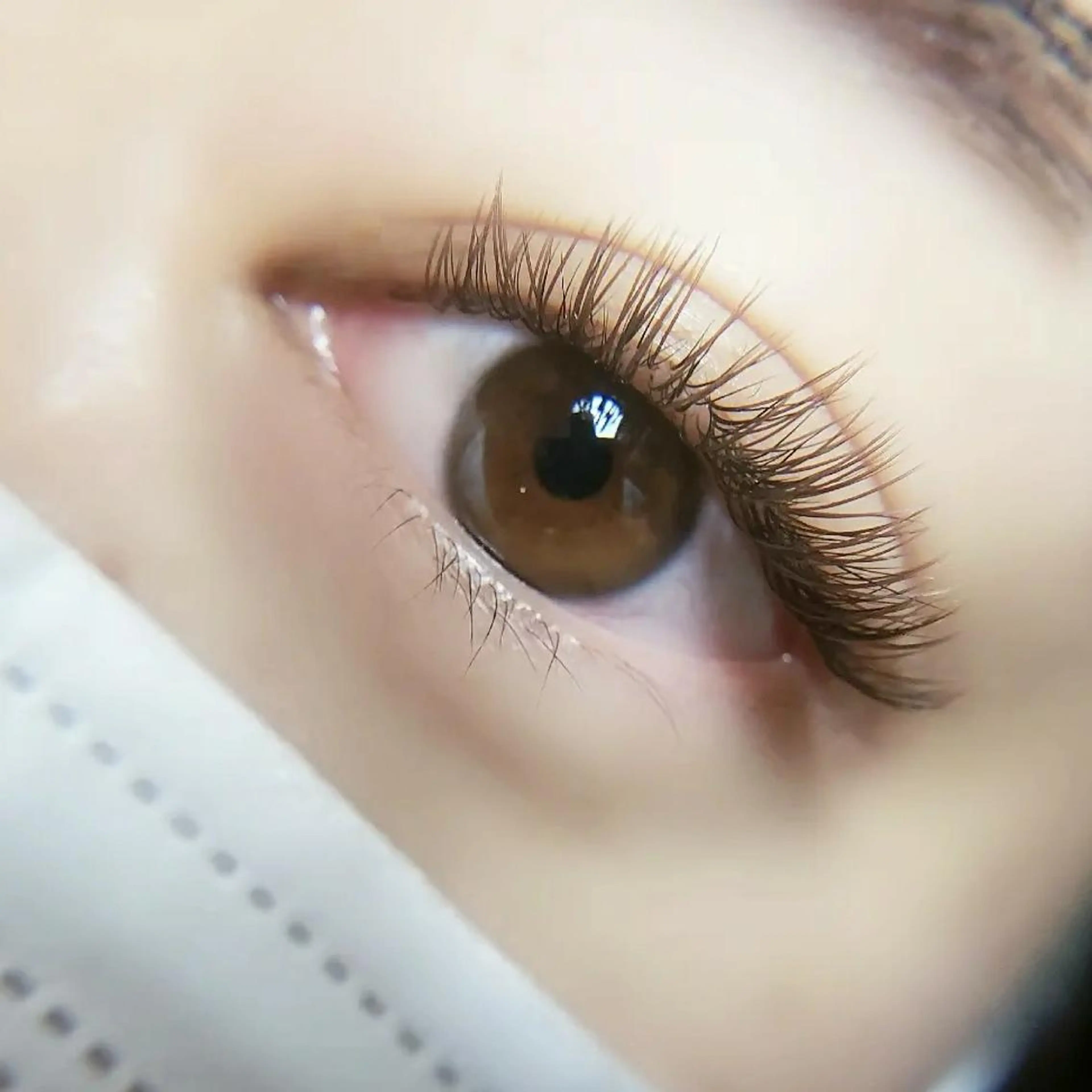 フラットラッシュ100本(オフ・アイパック・アイシャンプー付)の写真