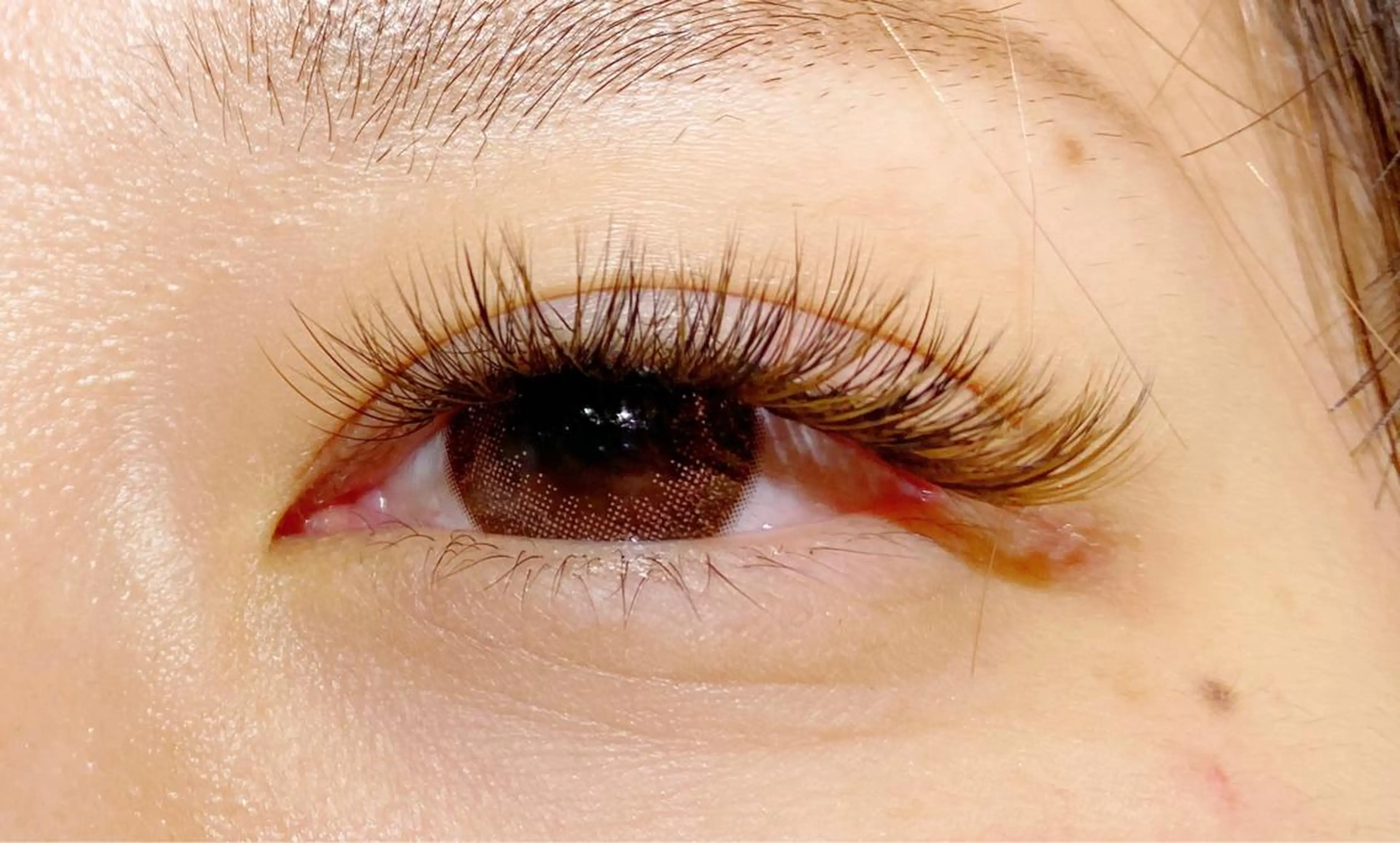 マツエク・マツパ カラーマツエク ボリュームラッシュ Carat Eyelash&Eyebrow 市川店所属・時田 友美のマツエク・マツパデザイン