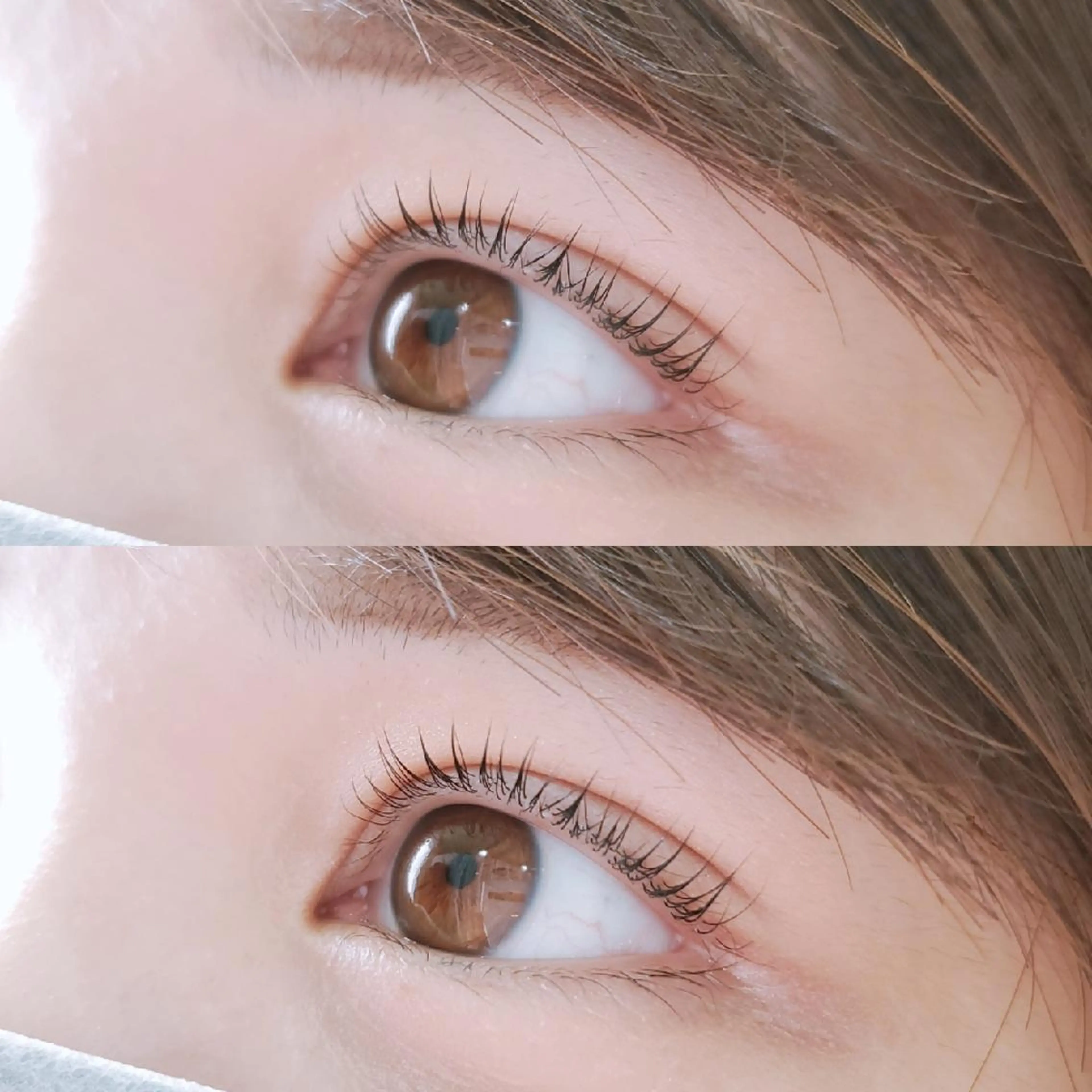 🌷パリジェンヌラッシュリフト🌷の写真