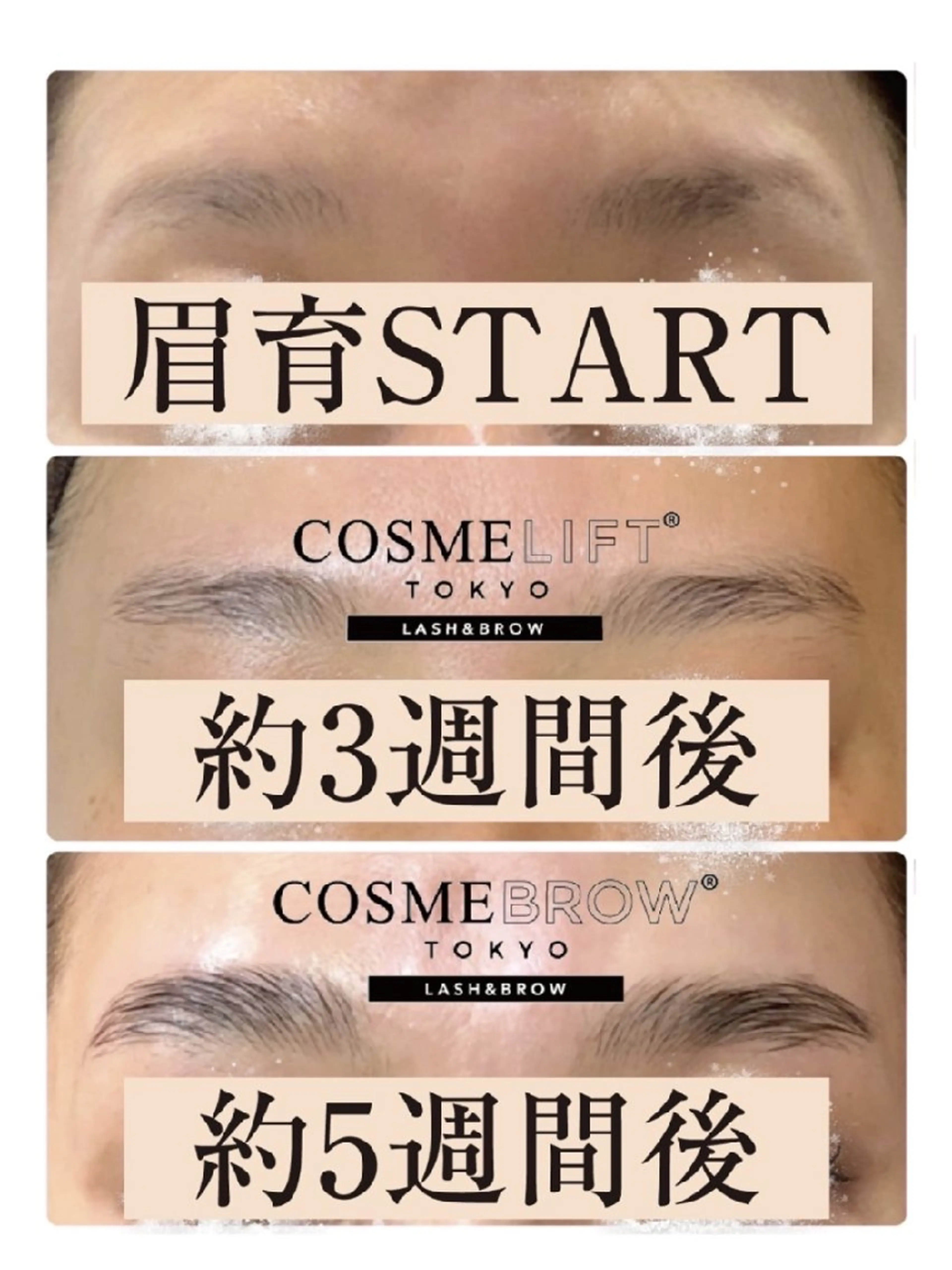 【眉毛パーマ】眉毛を自然な毛流れに整えさらにしっかり生えてくる育毛効果も🫶の写真