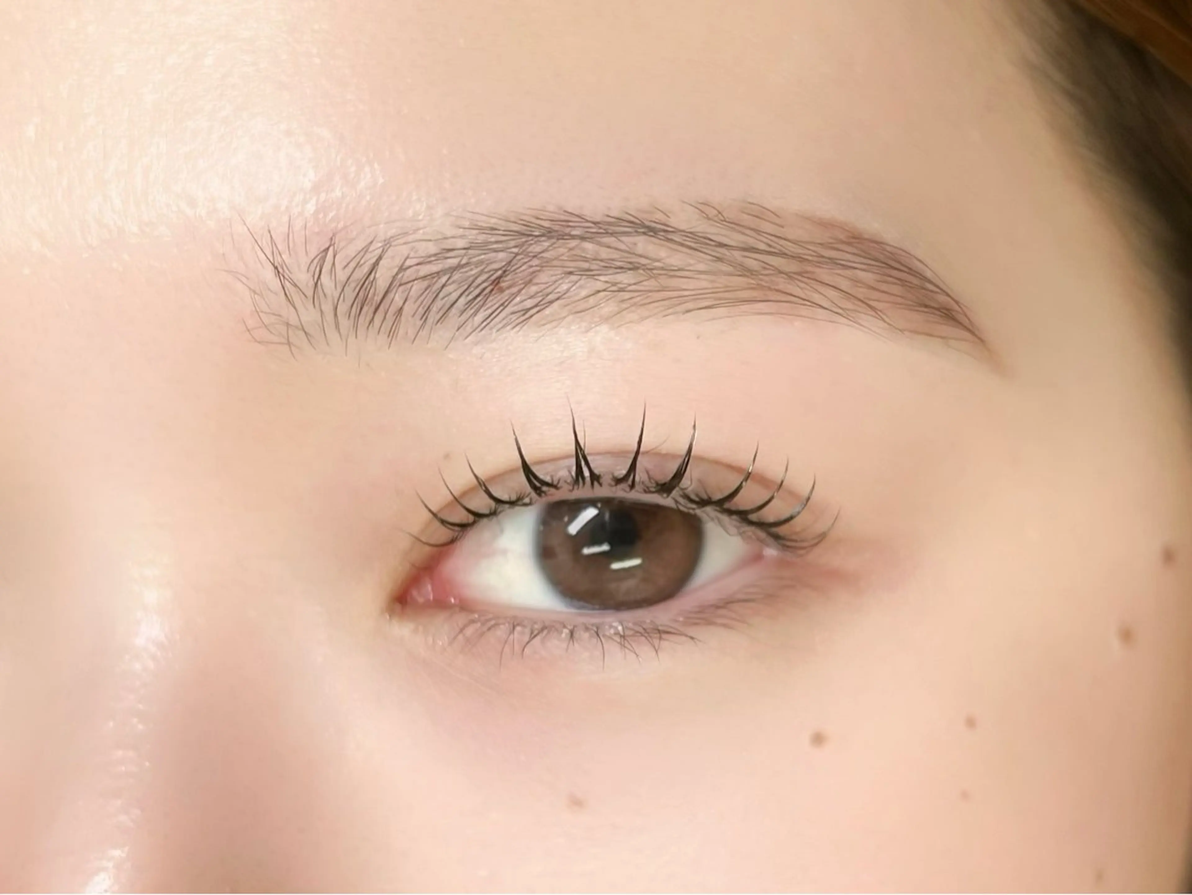 【大人気🥰】🪞アイブロウWAX+韓国風まつげパーマ🪞の写真