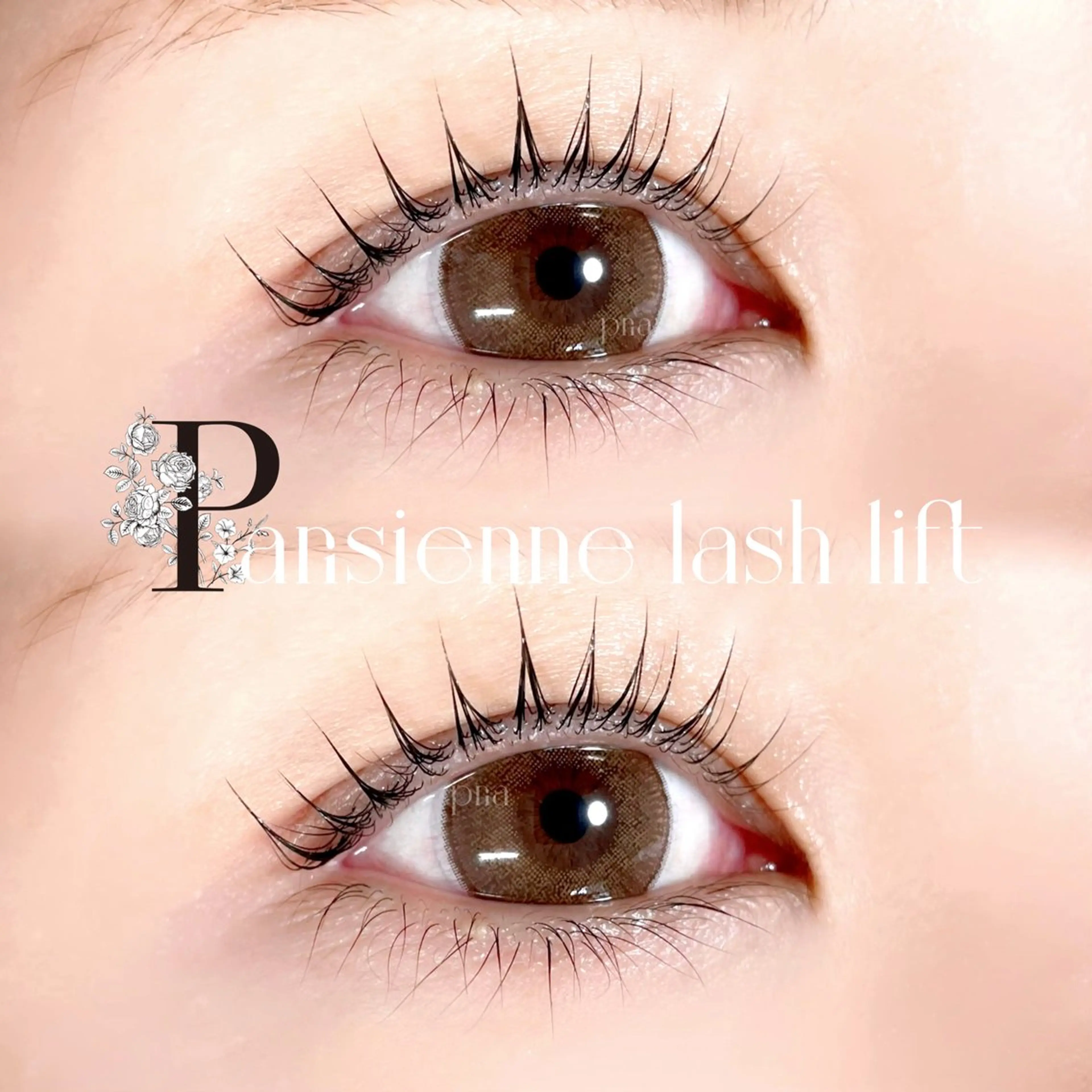 マツエク・マツパ pria【プリア】 yukiのマツエク・マツパデザイン