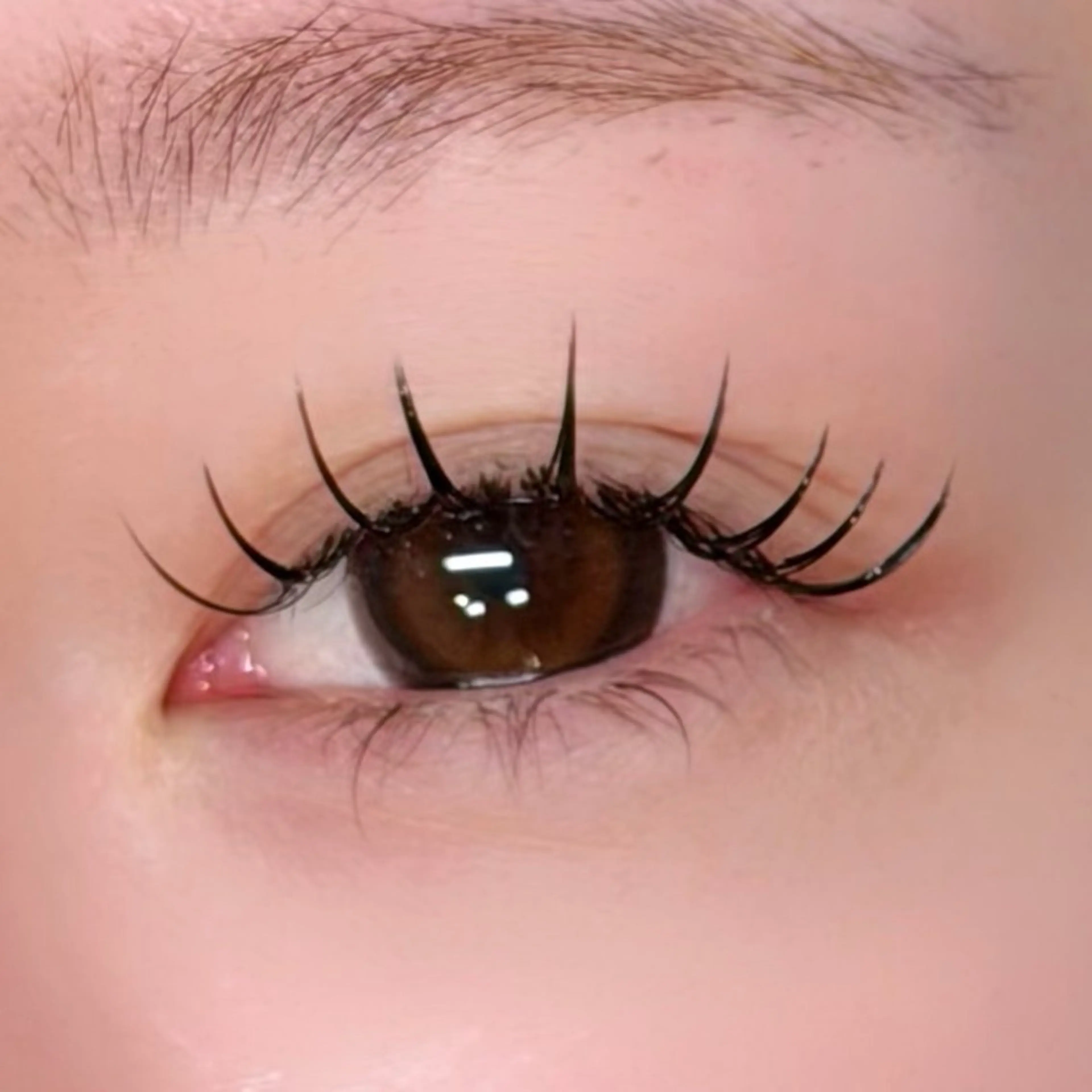 🆕【LED】120本までの写真