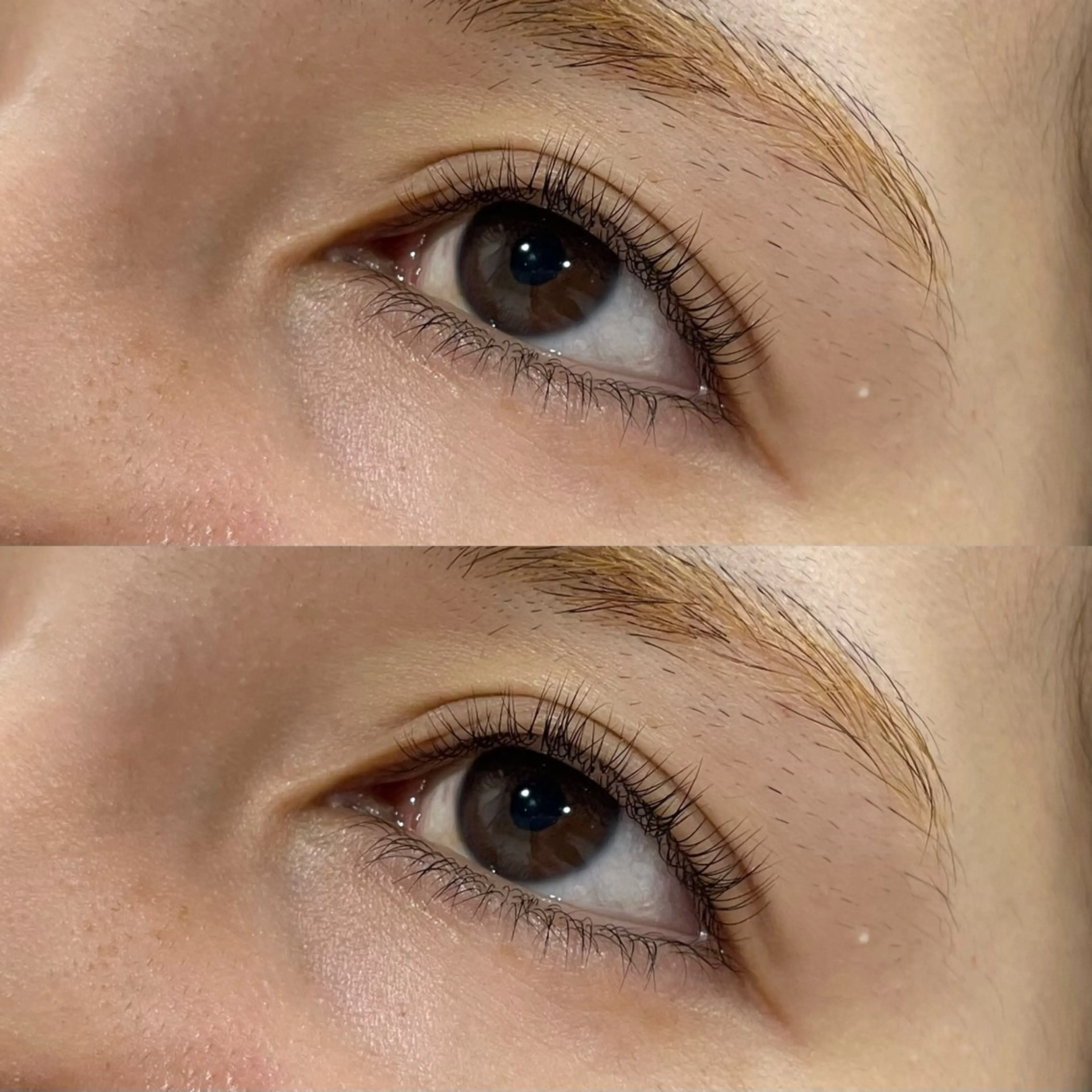 マツエク・マツパ マツパ sawaka🪽うる 艶カラー/レイヤーのヘアスタイル