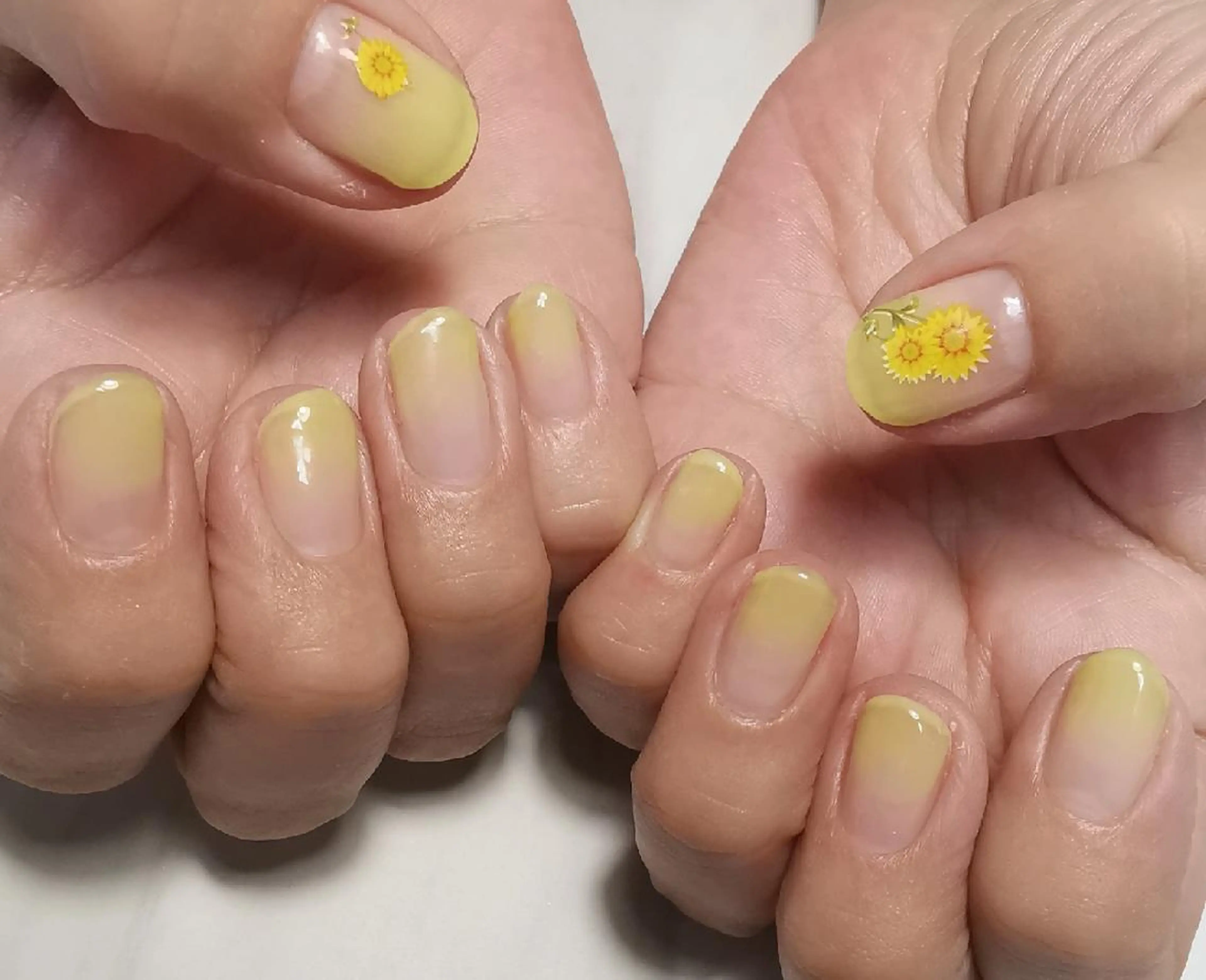 ネイル グラデーション ハンドネイル reve あやののネイルデザイン