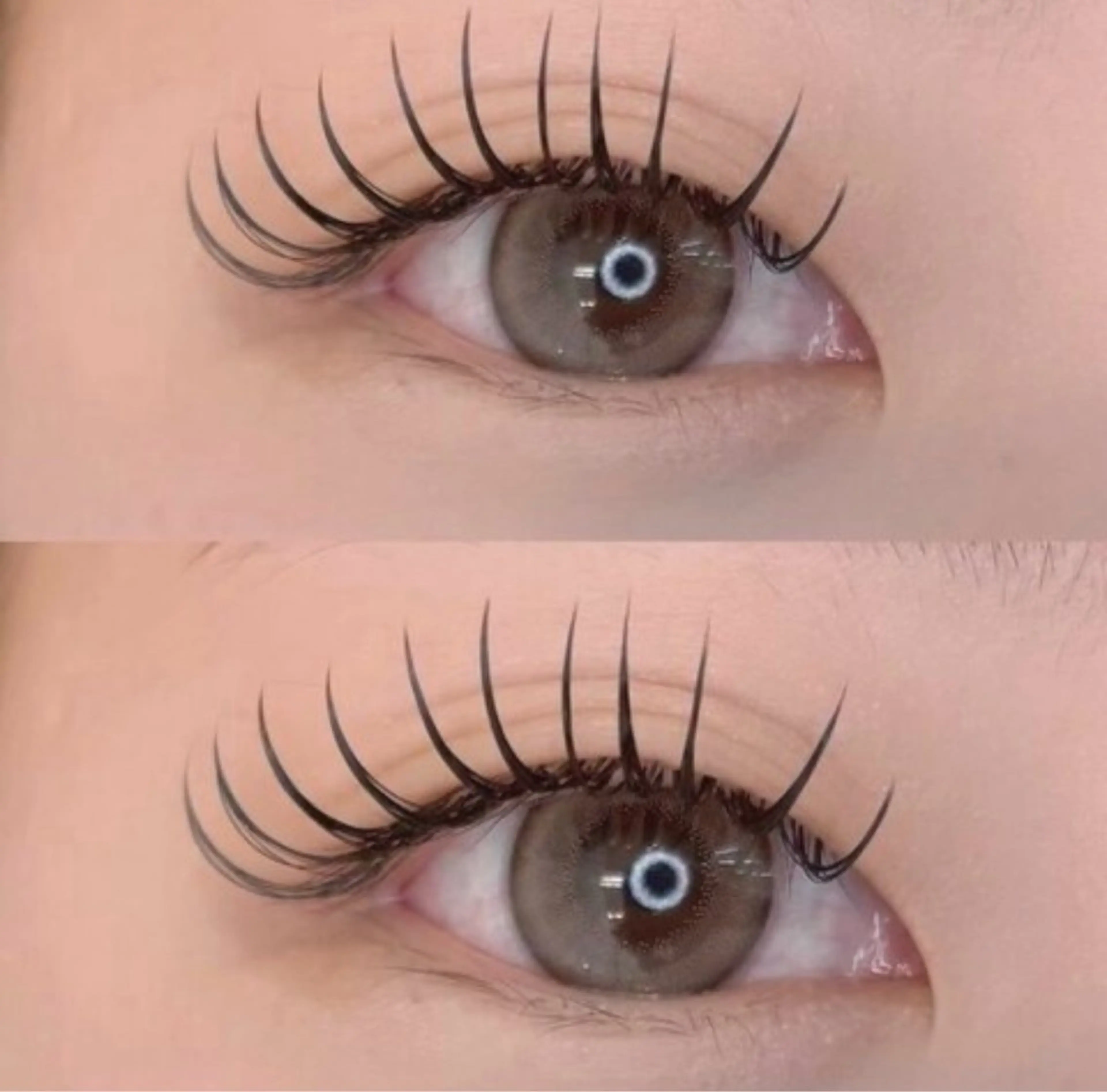 【最軽量】🩵フラットラッシュ120本🩵の写真