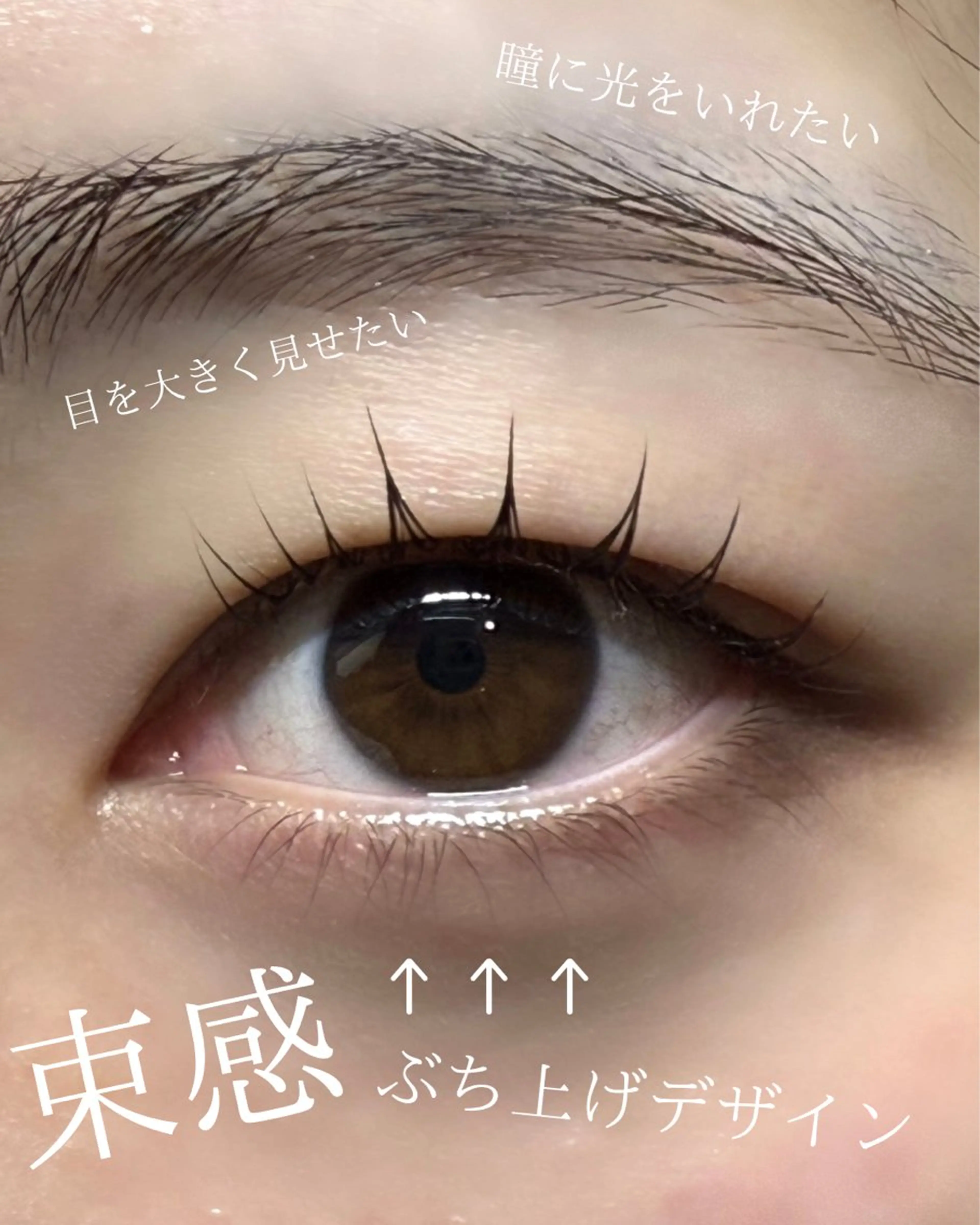 まつ毛パーマ特別クーポン🥳の写真