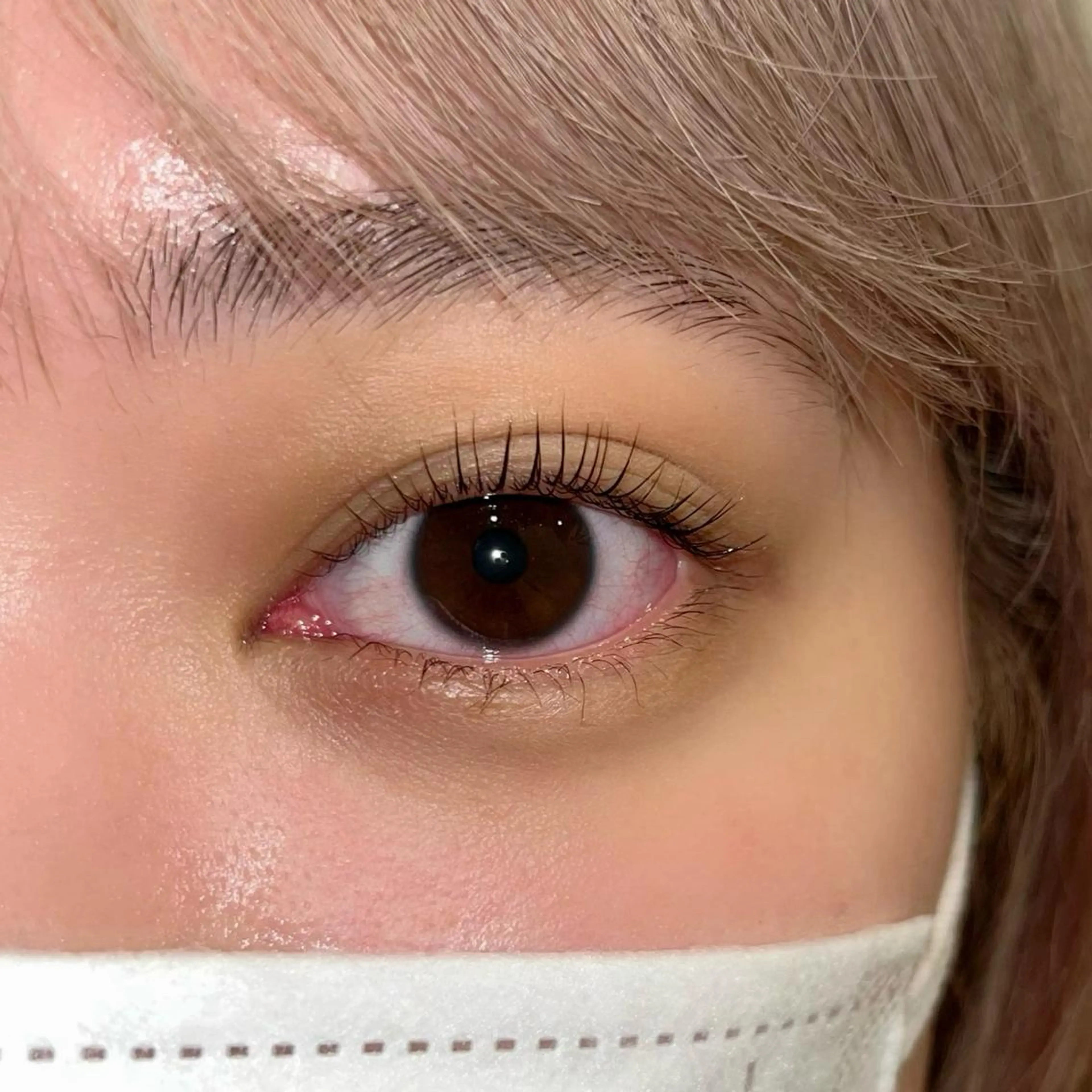 マツエク・マツパ パリジェンヌラッシュリフト まつげパーマ ai一重専門🎀束感 まつげ🫧表参道のマツエク・マツパデザイン