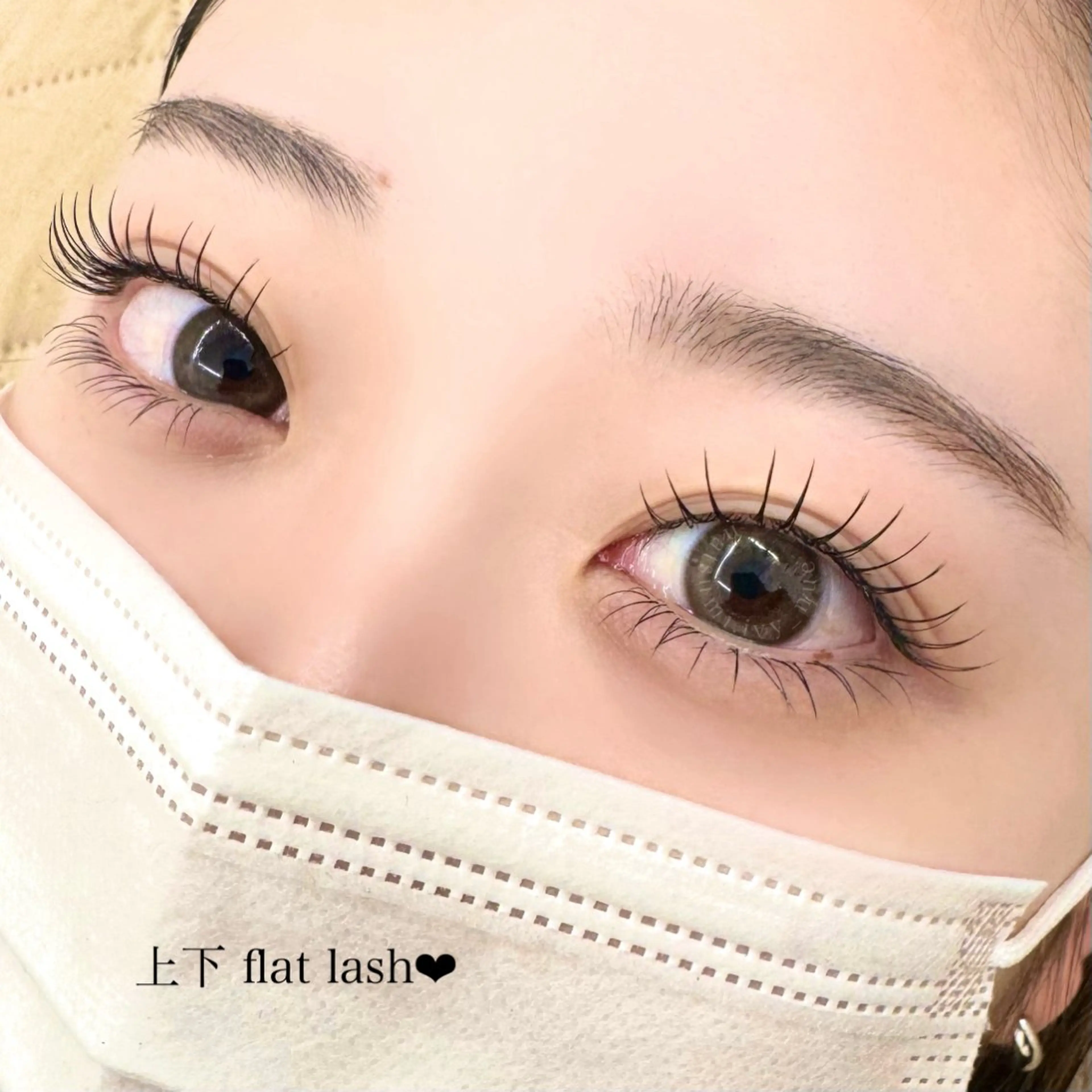 予約メニューではありません。の写真