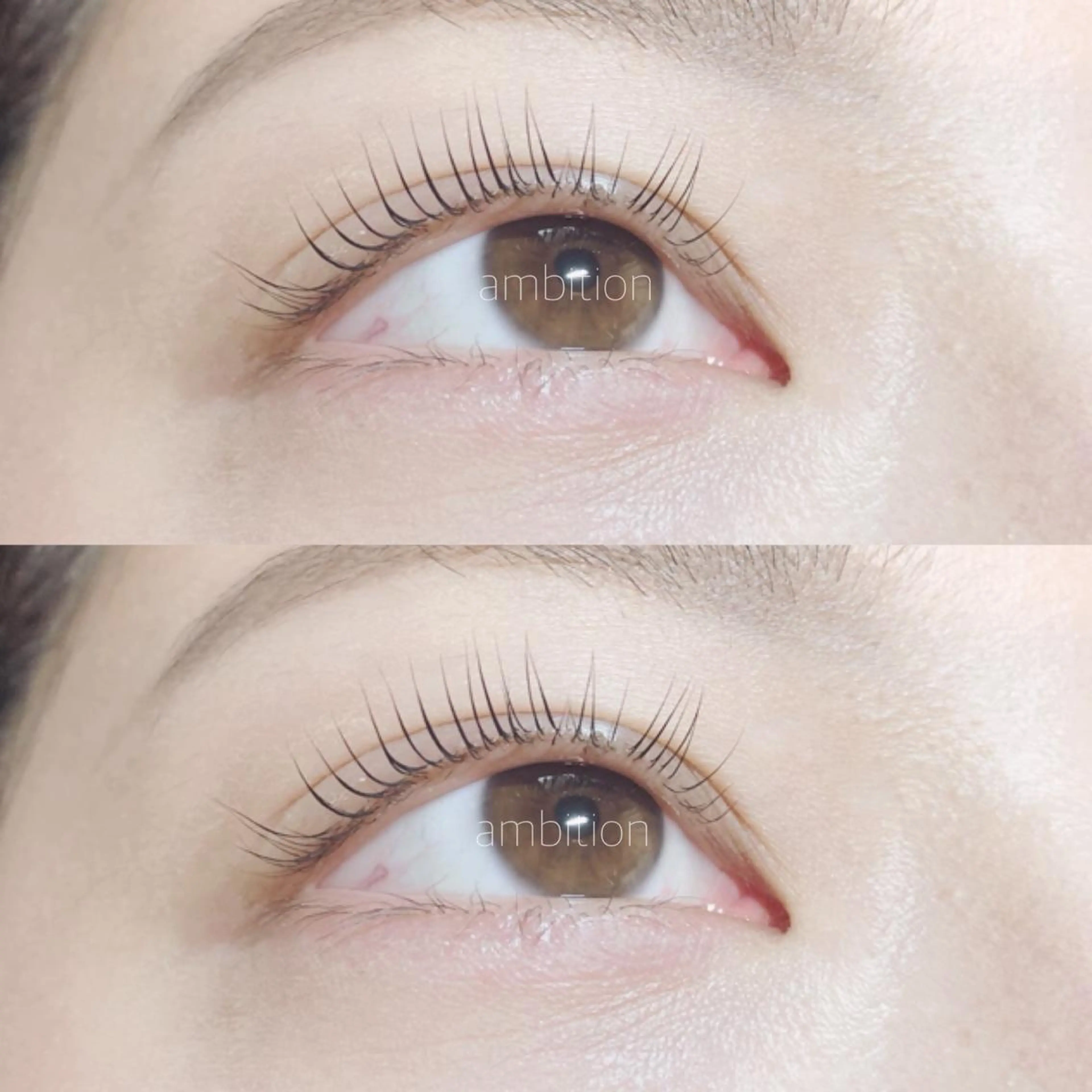 マツエク・マツパ パリジェンヌラッシュリフト デイジーラッシュ 大阪駅前第3ビルのマツエク・マツパデザイン