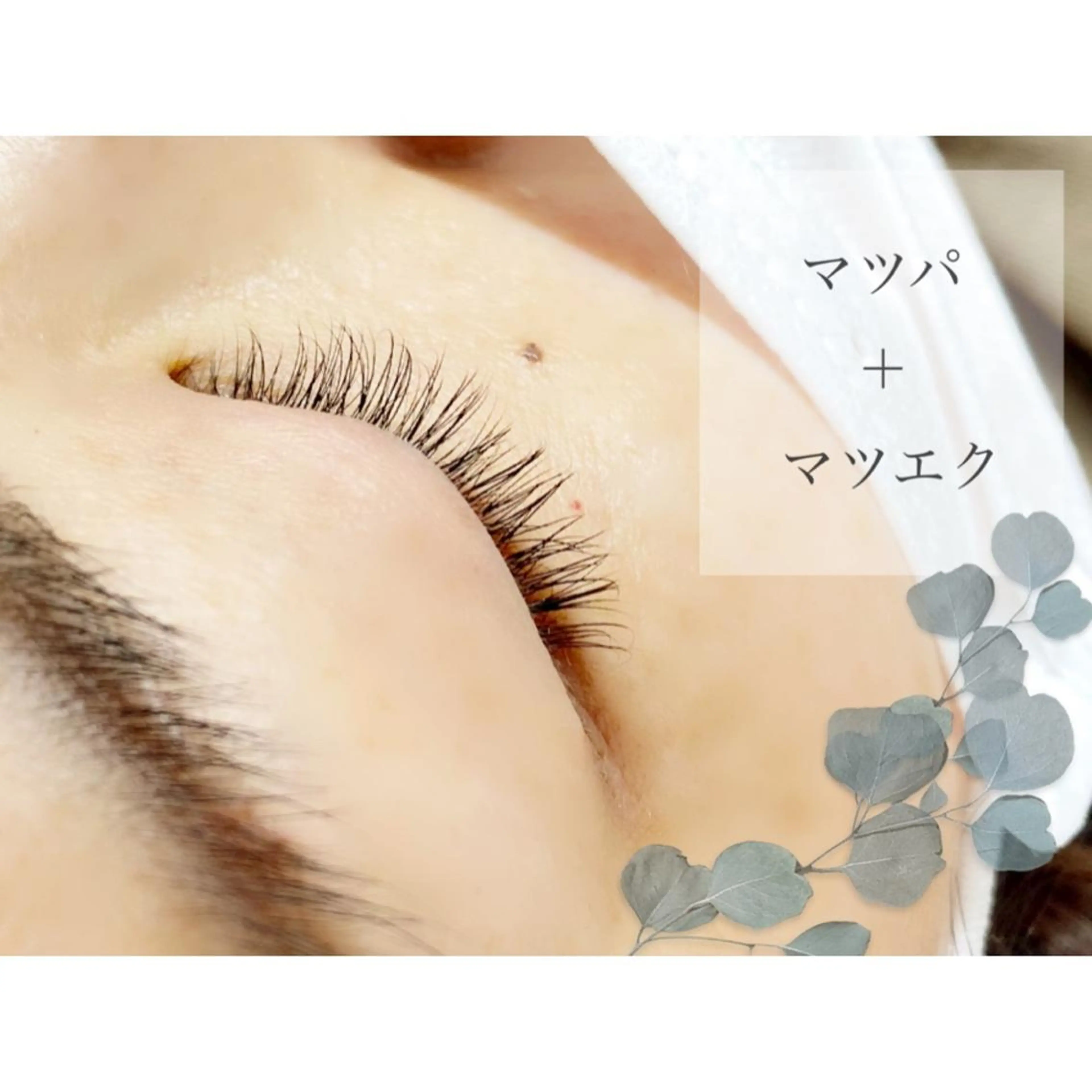 マツエク・マツパ まつげパーマ SCREEN 仙台のマツエク・マツパデザイン