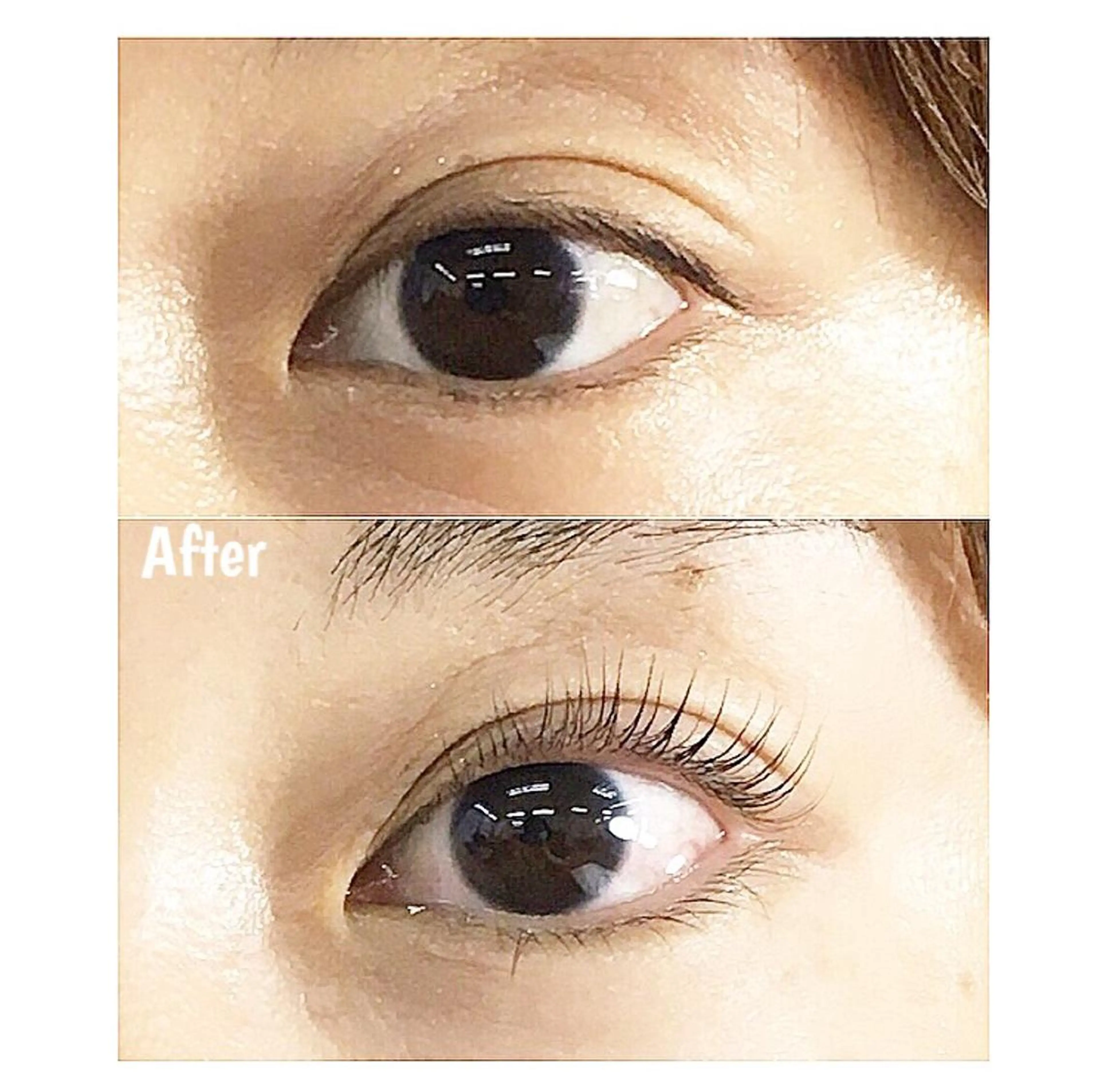 マツエク・マツパ パリジェンヌラッシュリフト マツパ Fine eyelas/eyebrow所属・Fine スタッフのマツエク・マツパデザイン