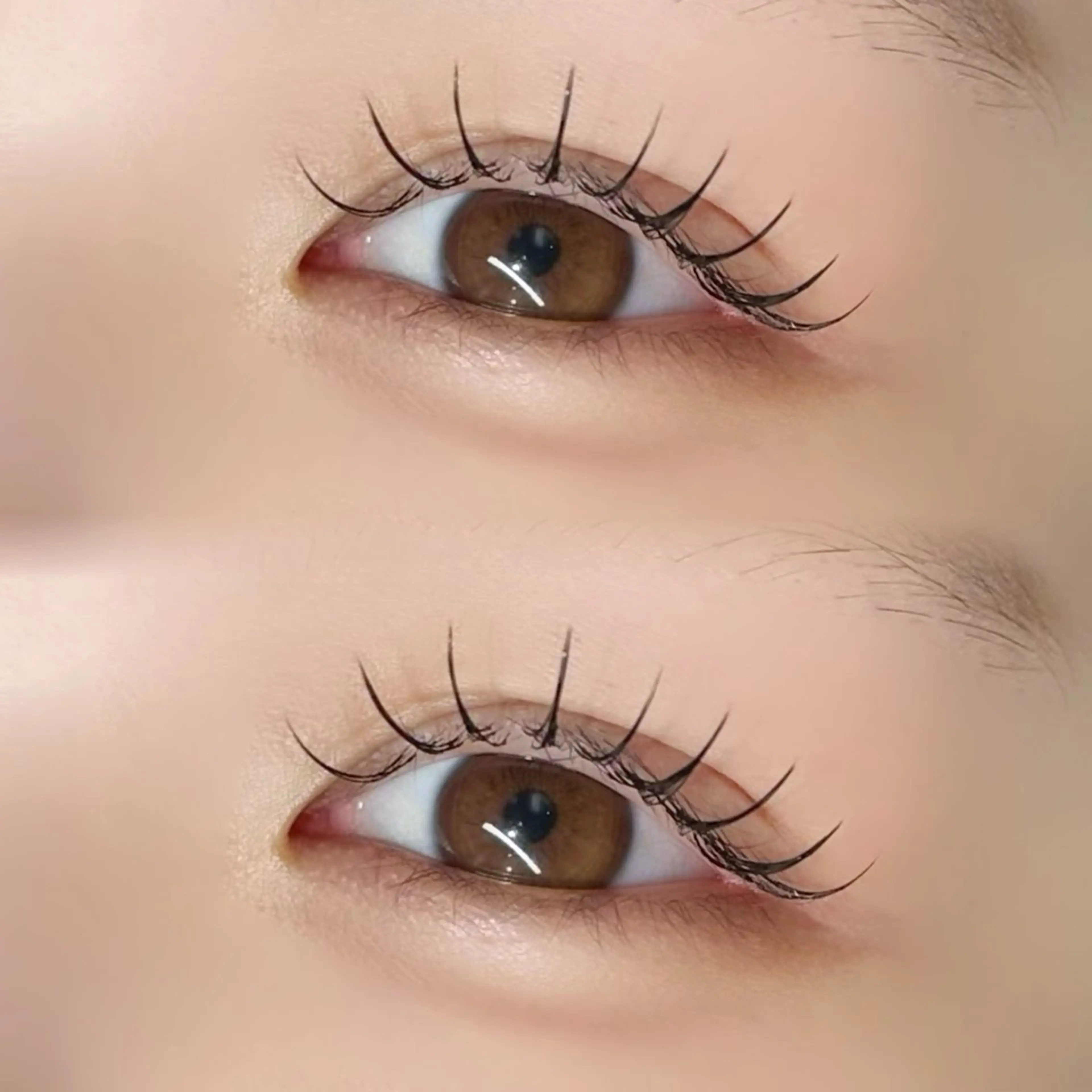 マツエク・マツパ マツエク EYELA熊本 YUIのマツエク・マツパデザイン