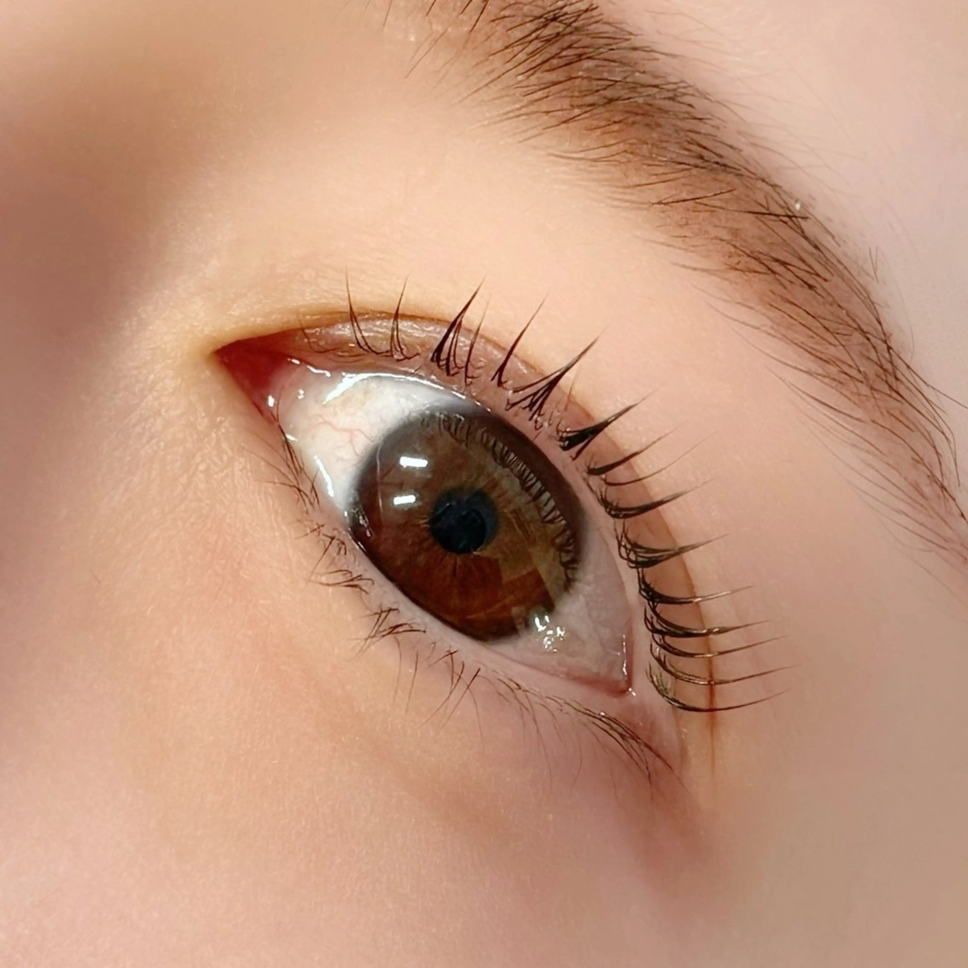 マツエク・マツパ マツパ EYEVY BEAUTY SALON所属・EYEVY 門前仲町のエステ・リラクイメージ