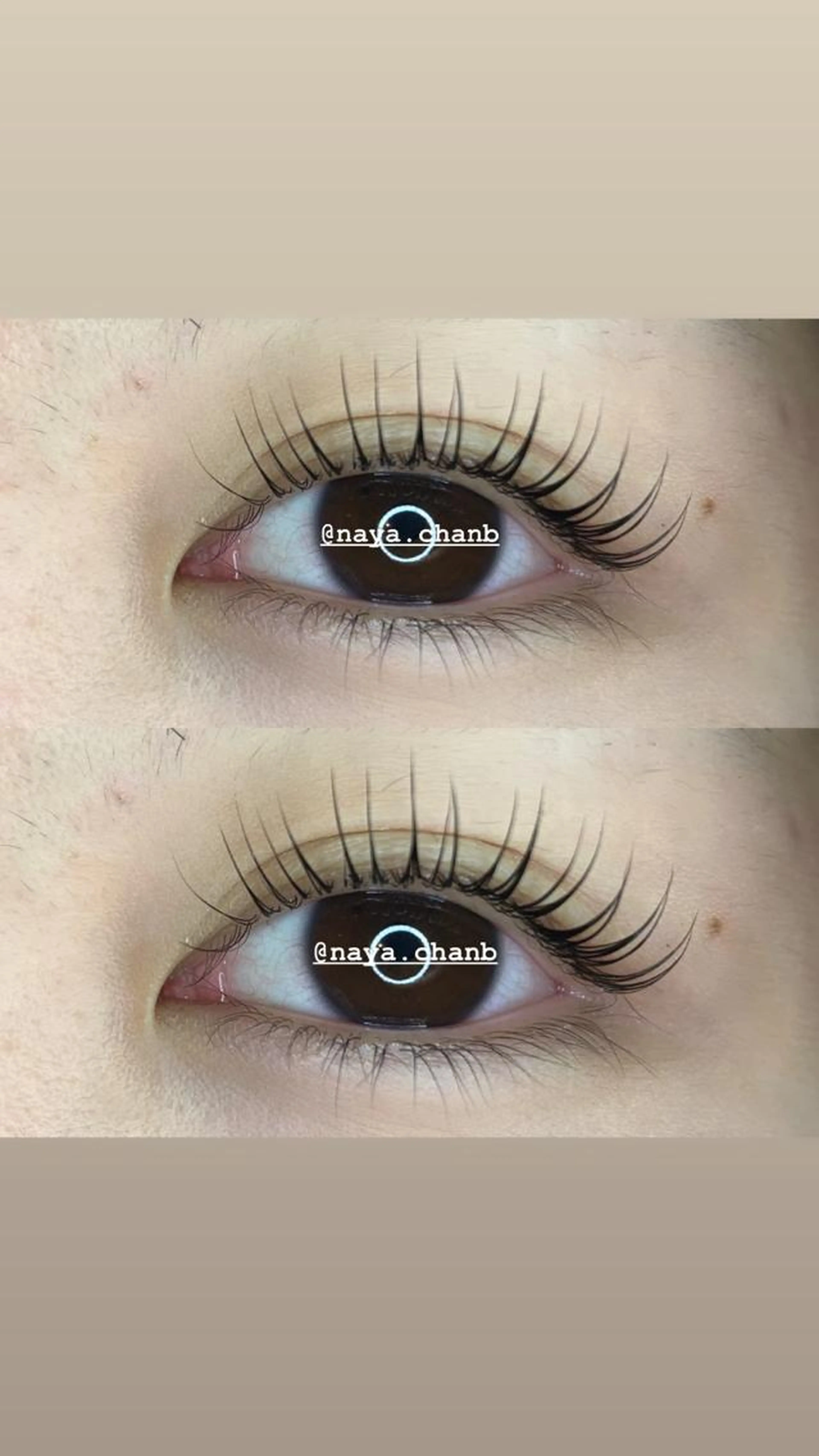 🛸今日限定🛸パリジェンヌORロット式ラッシュリフト【60〜75分】の写真