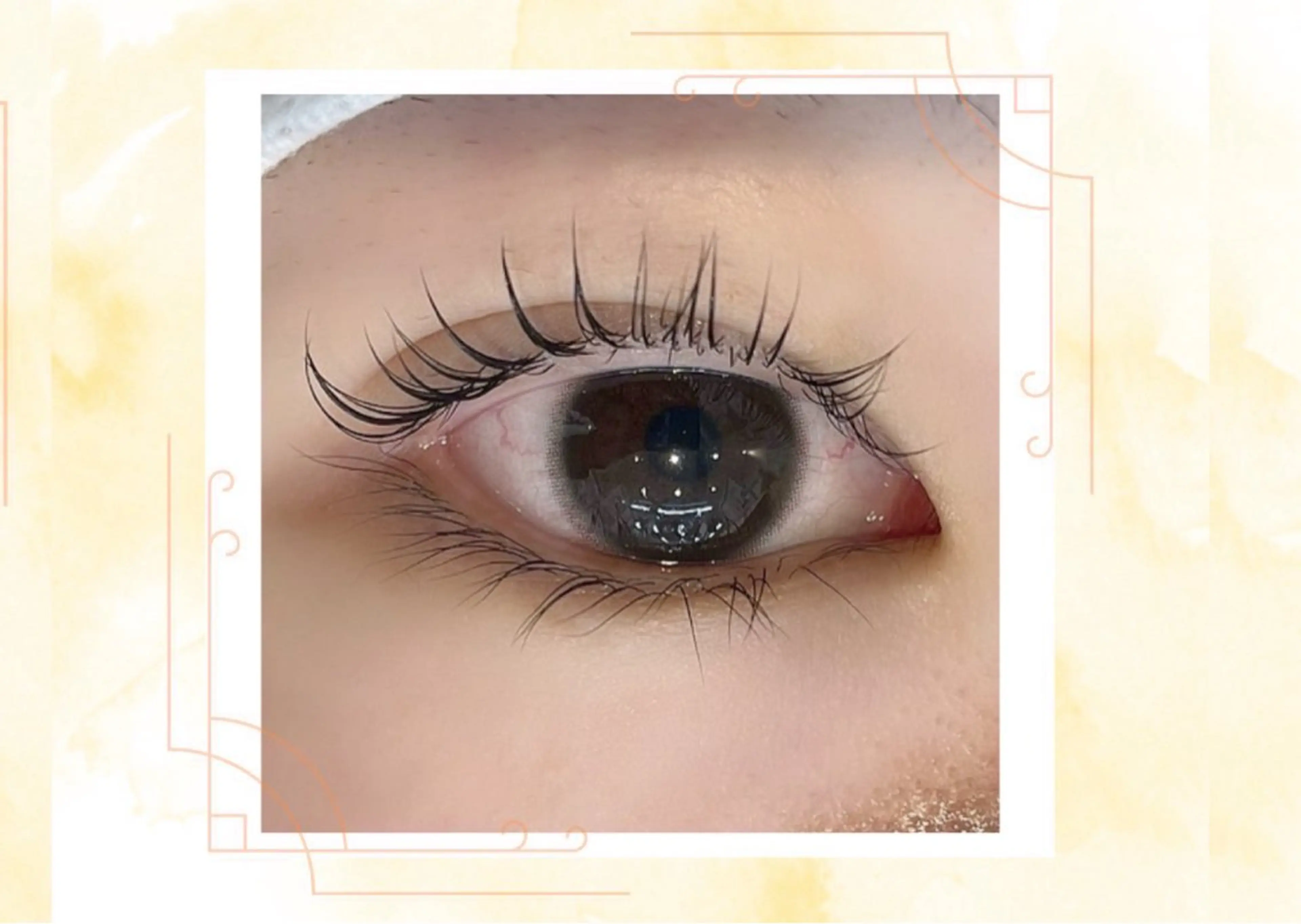 【minimo記念限定価格】朝の時短へ🌸🌸まつげパーマ🌼の写真