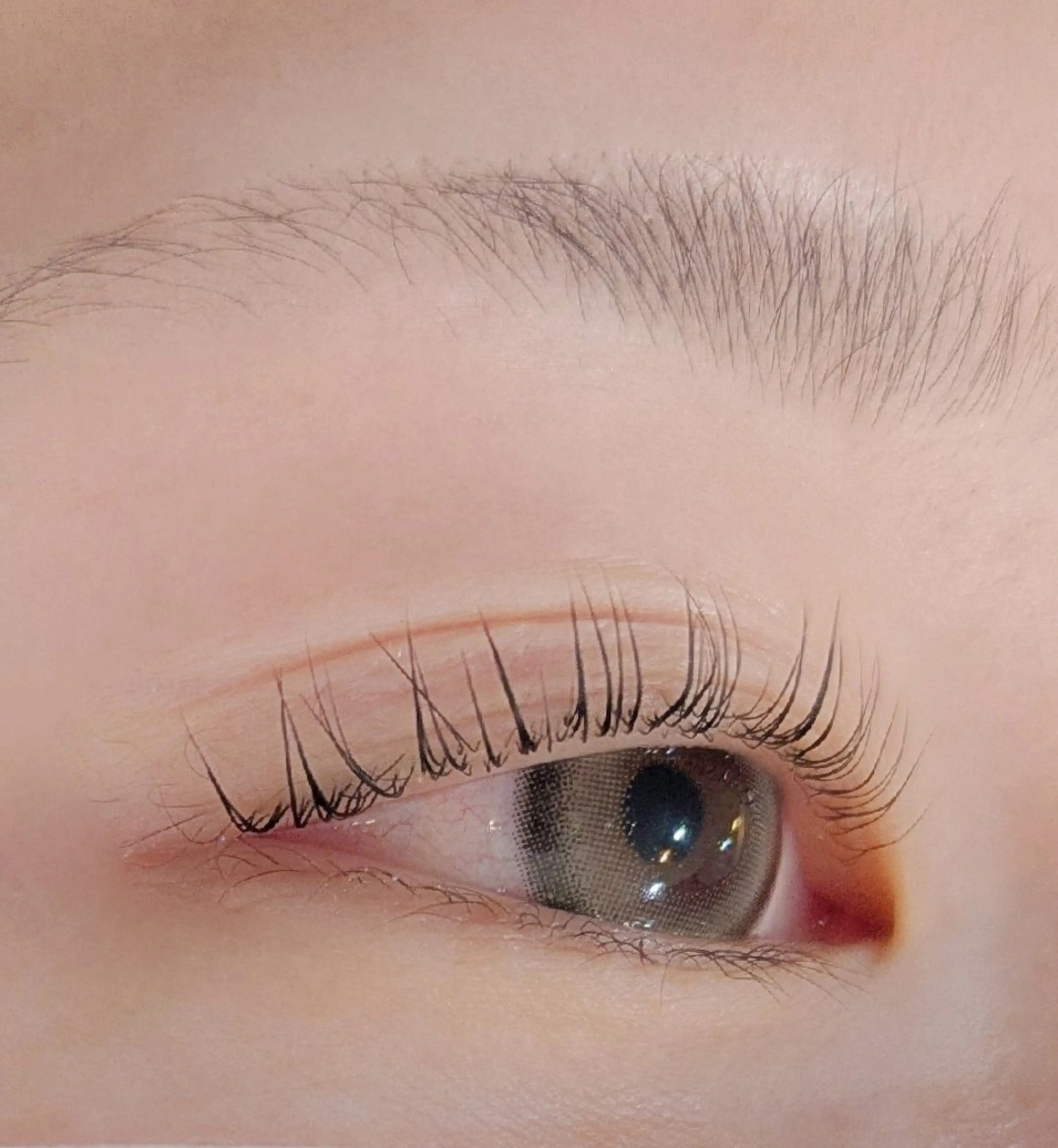 マツエク・マツパ eyelashZen RINGO︎🤍のマツエク・マツパデザイン