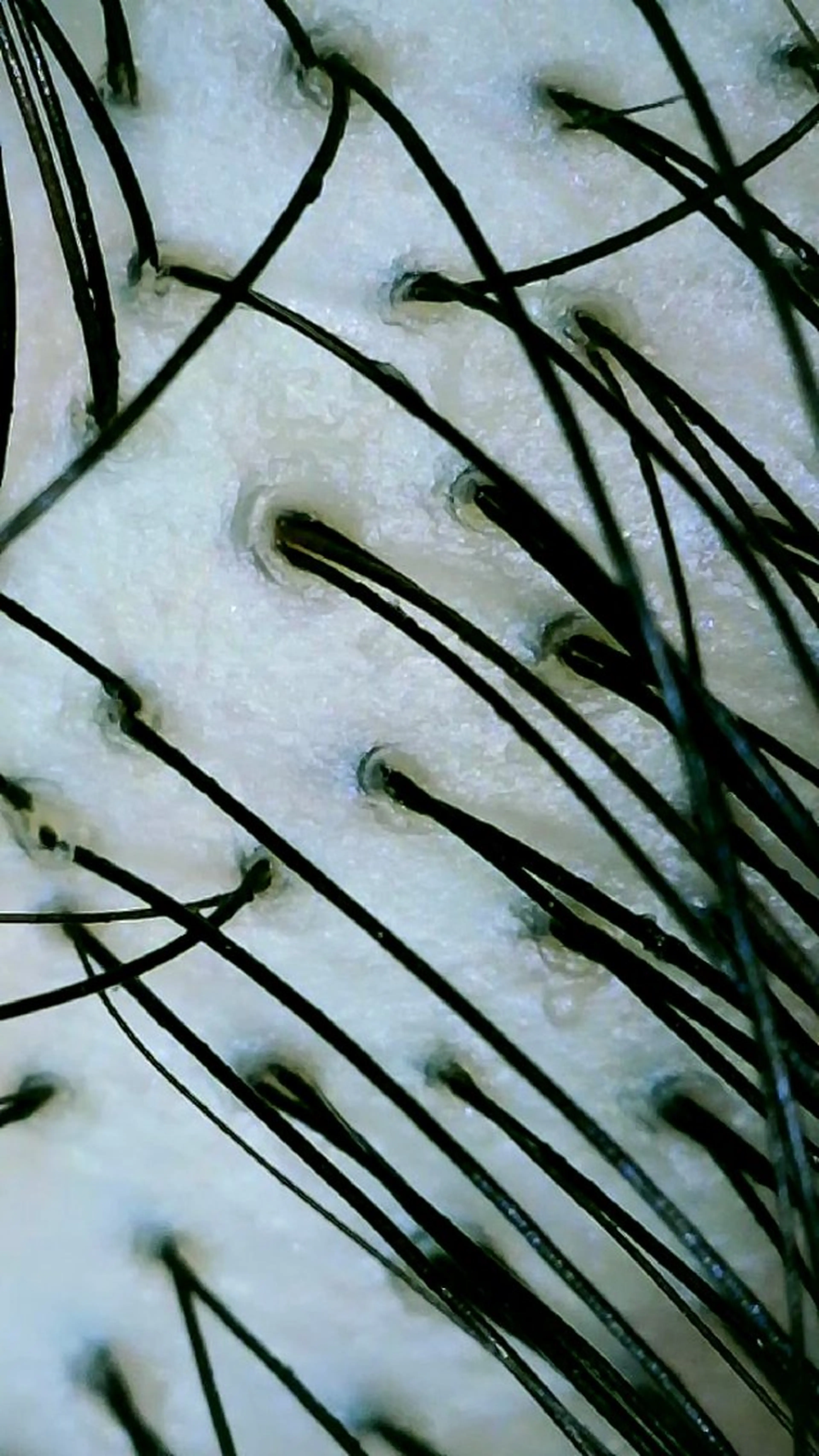 Laby.spa/Labyrinth所属・ヘッドスパ／耳つぼ Laby.spaのヘアスタイル