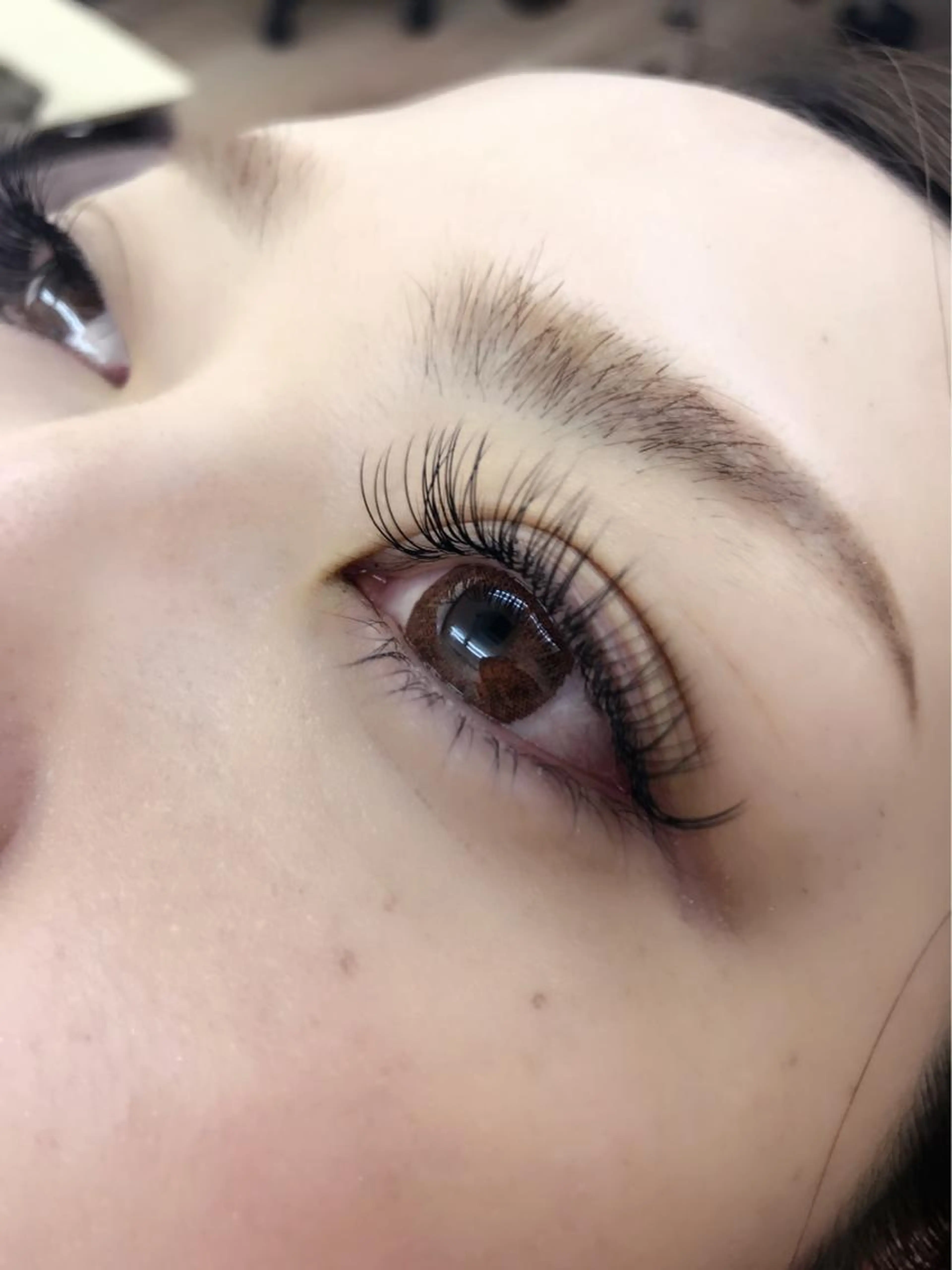 ⚠️ご新規様限定⚠️大人気話題のLEDフラットラッシュ140本　アイシャンプー付き🫧※オフ別途1000の写真