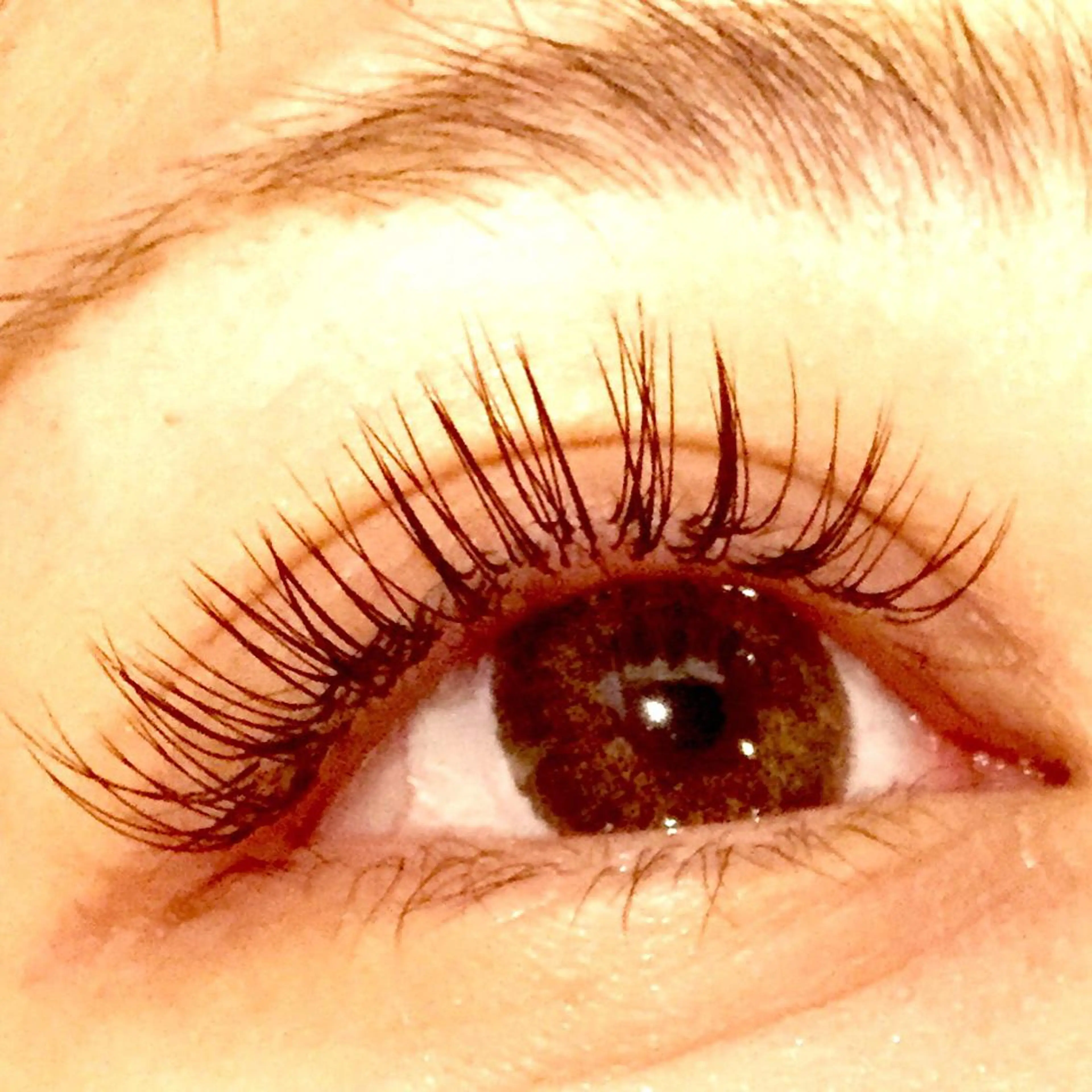 マツエク・マツパ Dカール GRACE所属・磯見 歩未のマツエク・マツパデザイン