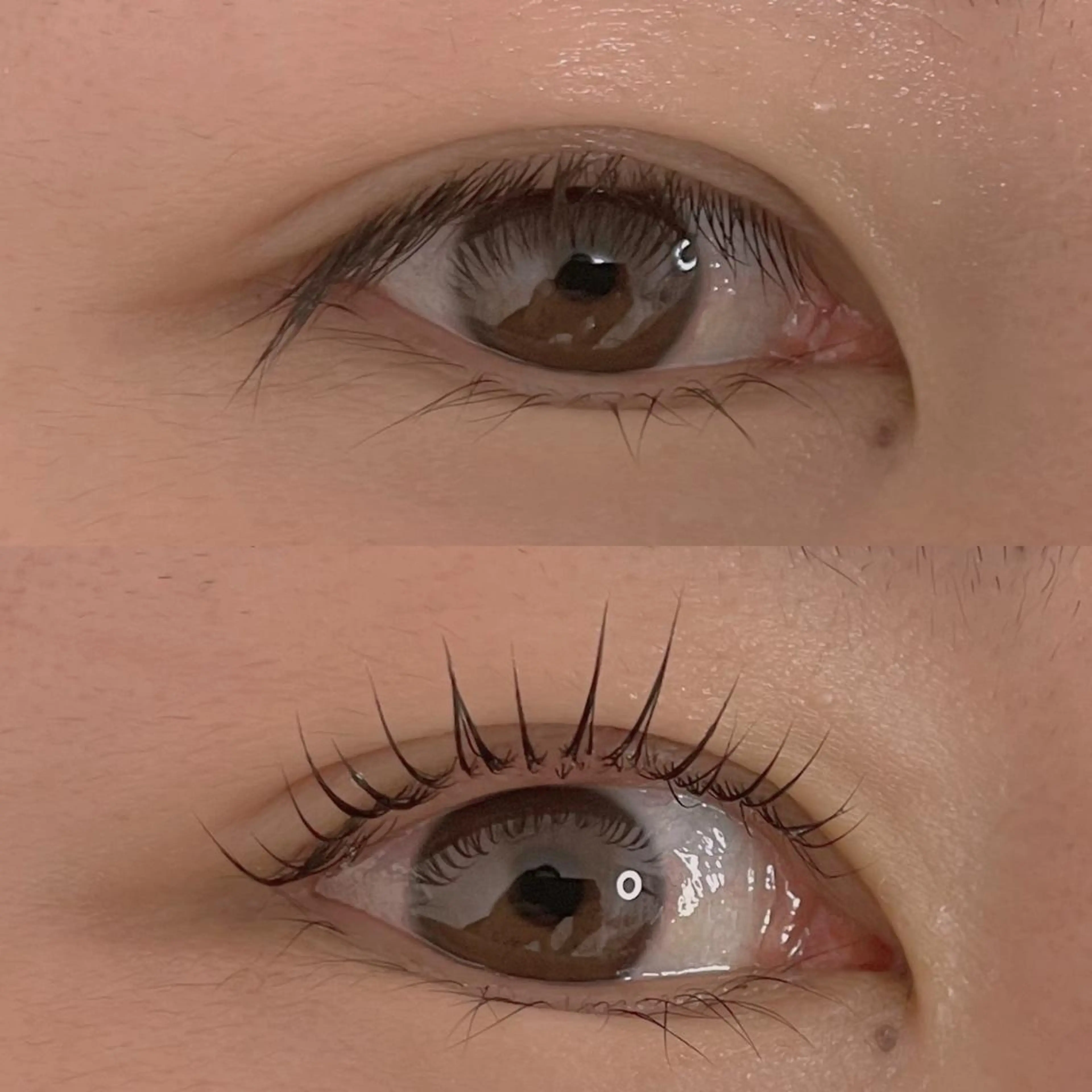 ใใผใ ใใใจใฏใปใใใ ๐๐ผ๐๐๐ ๐๐ธ๐โใฎใใใจใฏใปใใใใใถใคใณ