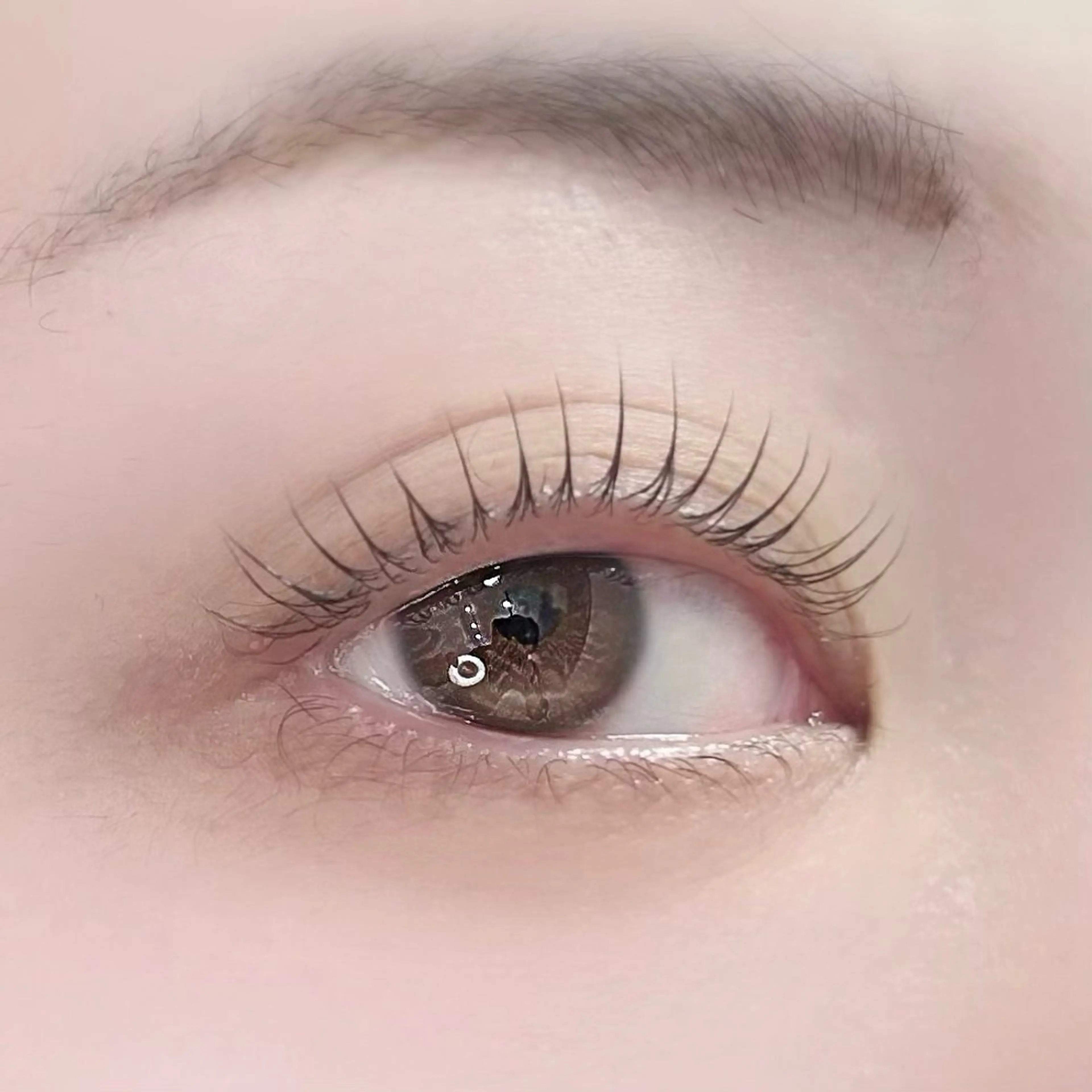 マツエク・マツパ マツパ S Sの眉毛・アイブロウイメージ