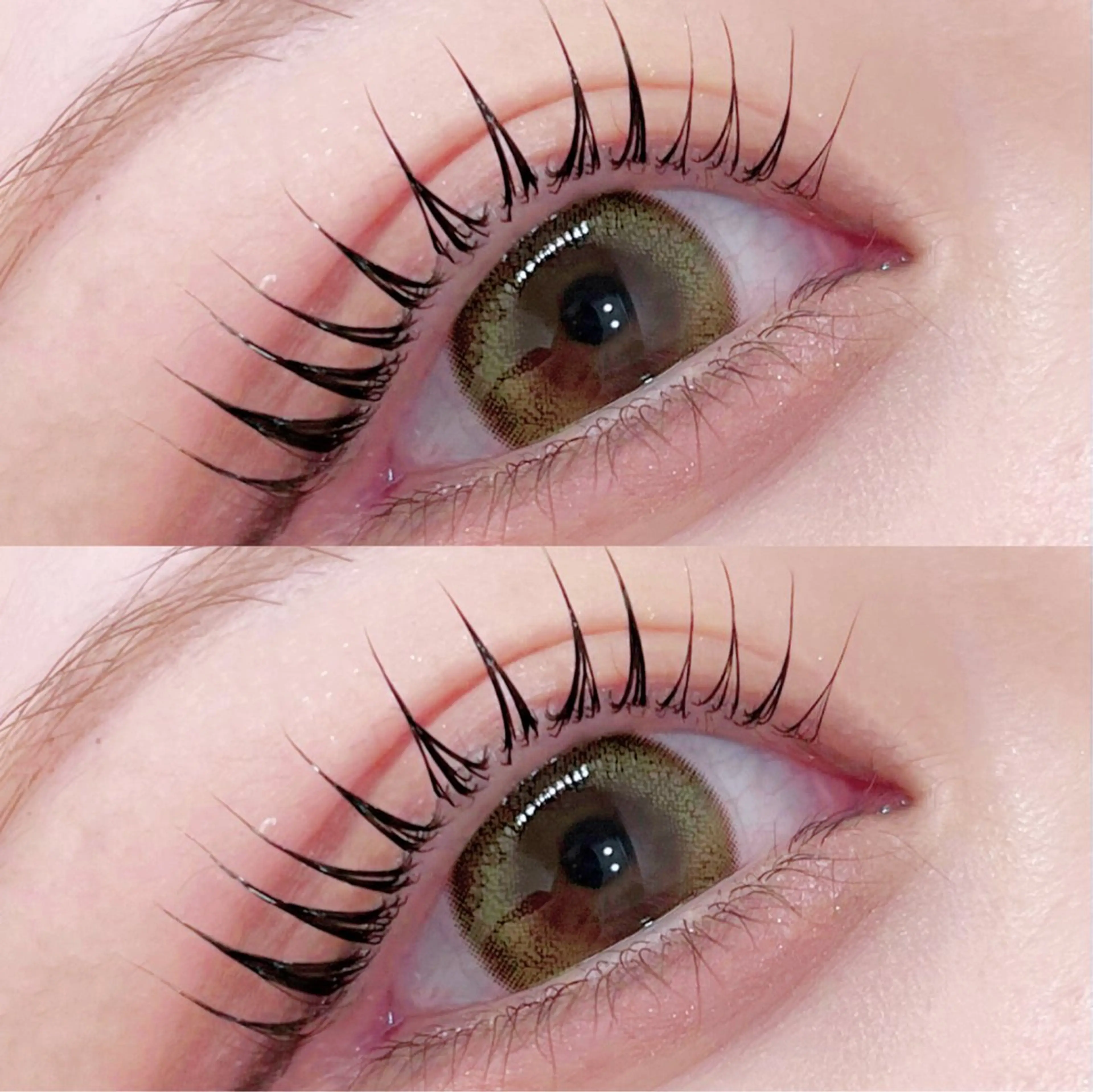 🎀まつ毛パーマ🎀(ラッシュリフト・パリジェンヌ)🫧コーティング付き🫧マスカラパーマ+¥500の写真