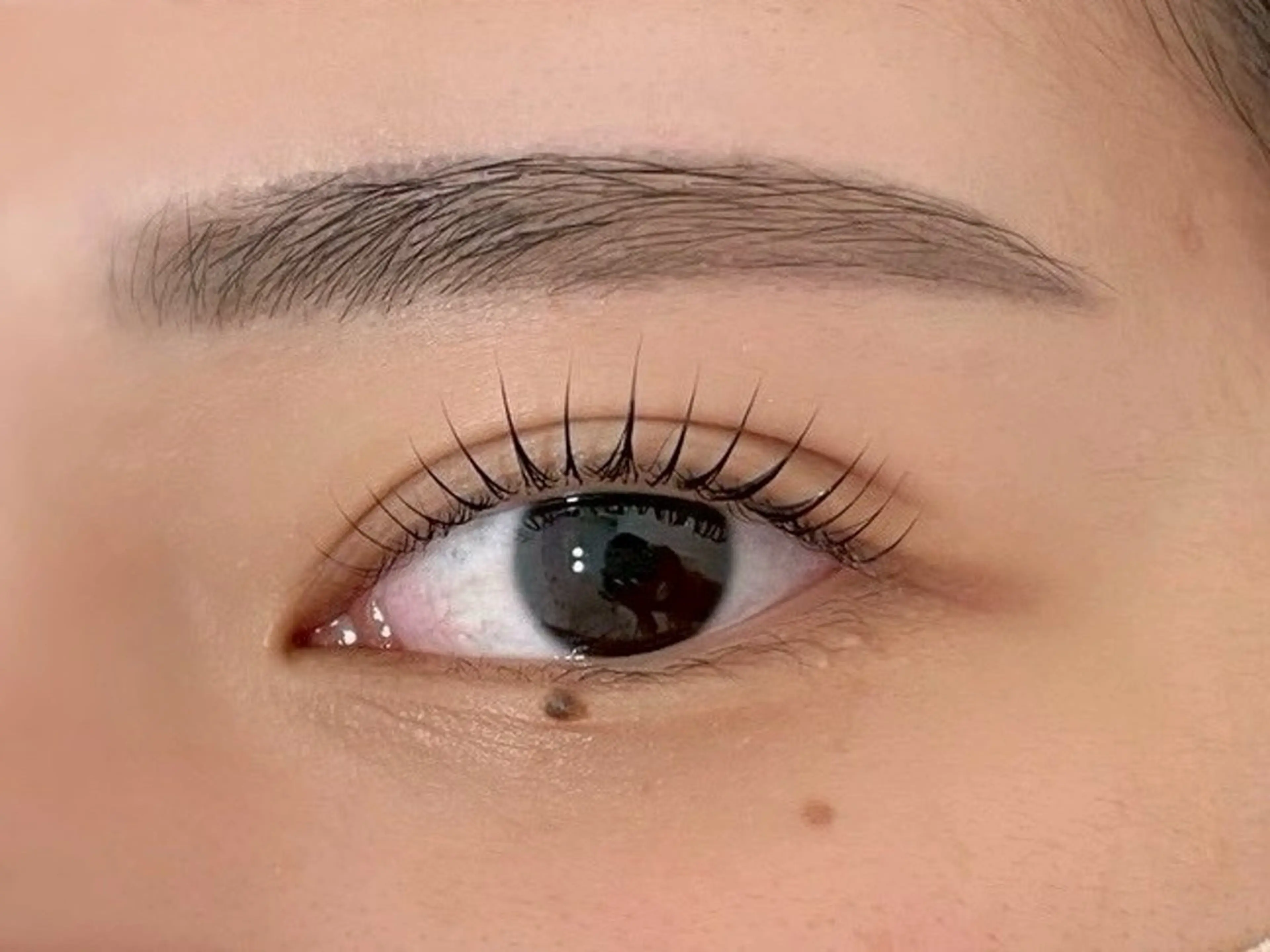 パーマ マツパ 16° LILI⭐️🤍の眉毛・アイブロウイメージ