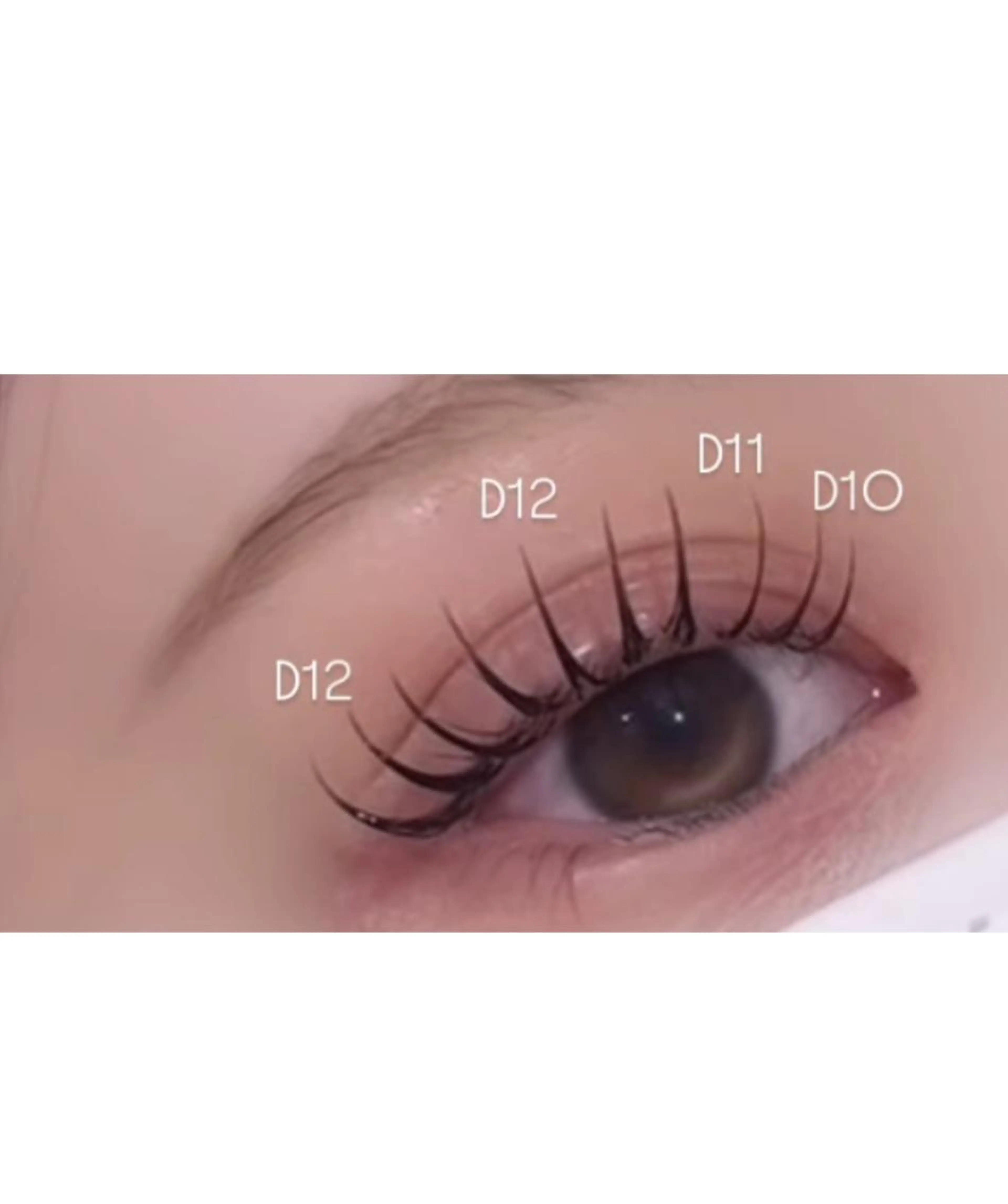 パリエク100本の写真