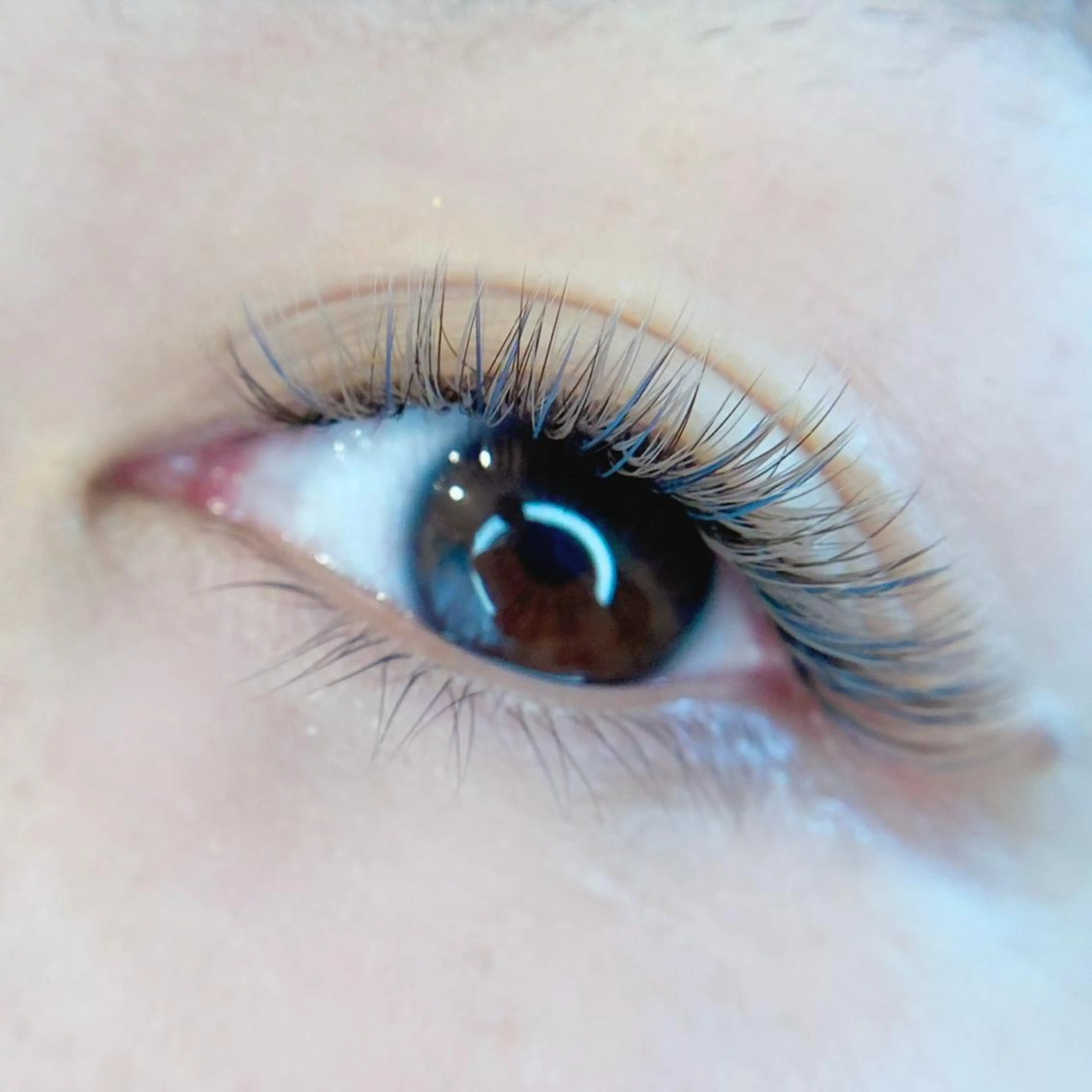 カラー マツエク・マツパ n Yukari.のマツエク・マツパデザイン