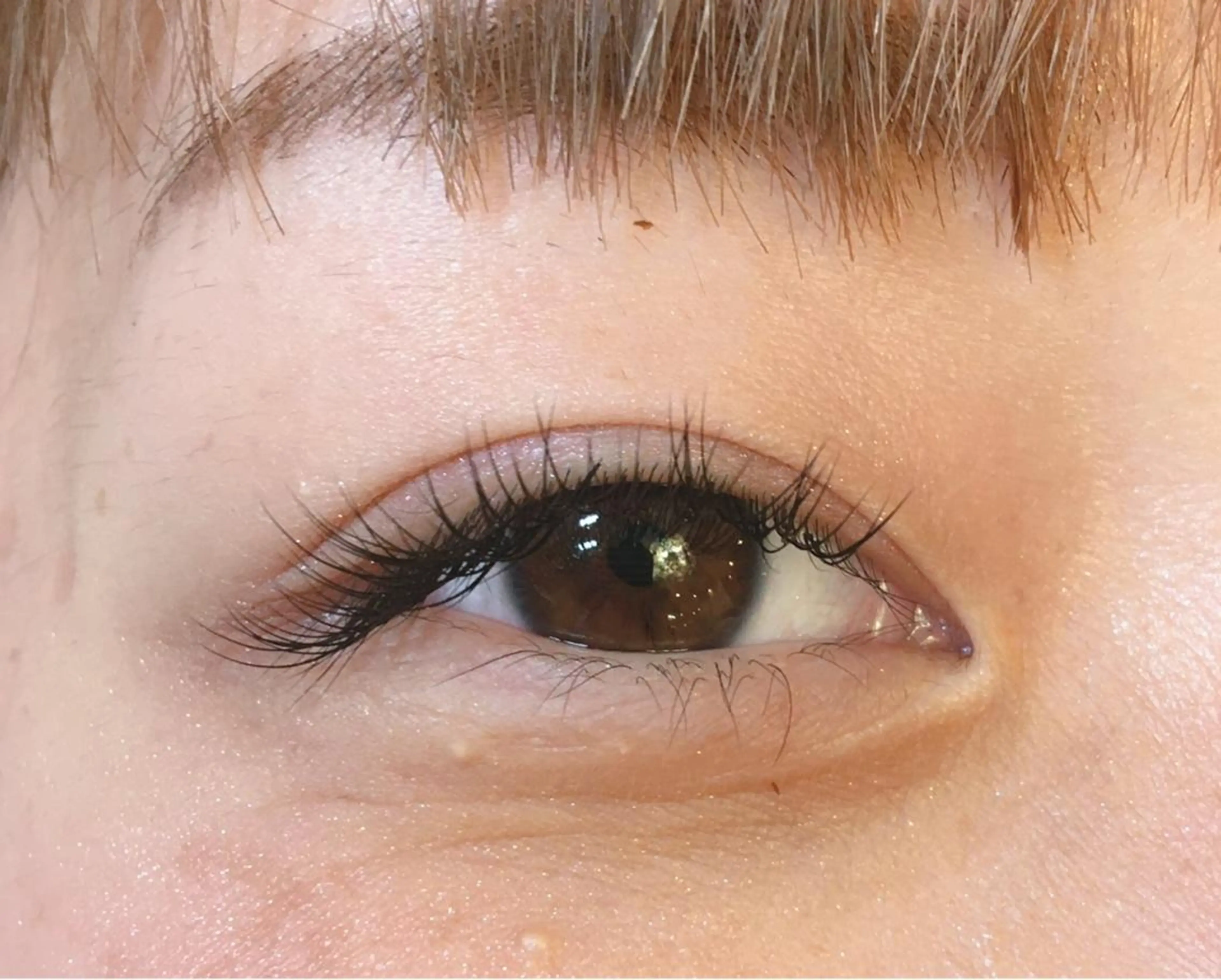 マツエク・マツパ Cカール キュート セーブル 自まつ毛改善サロンHYGGE青葉台所属・mami saijoのマツエク・マツパデザイン