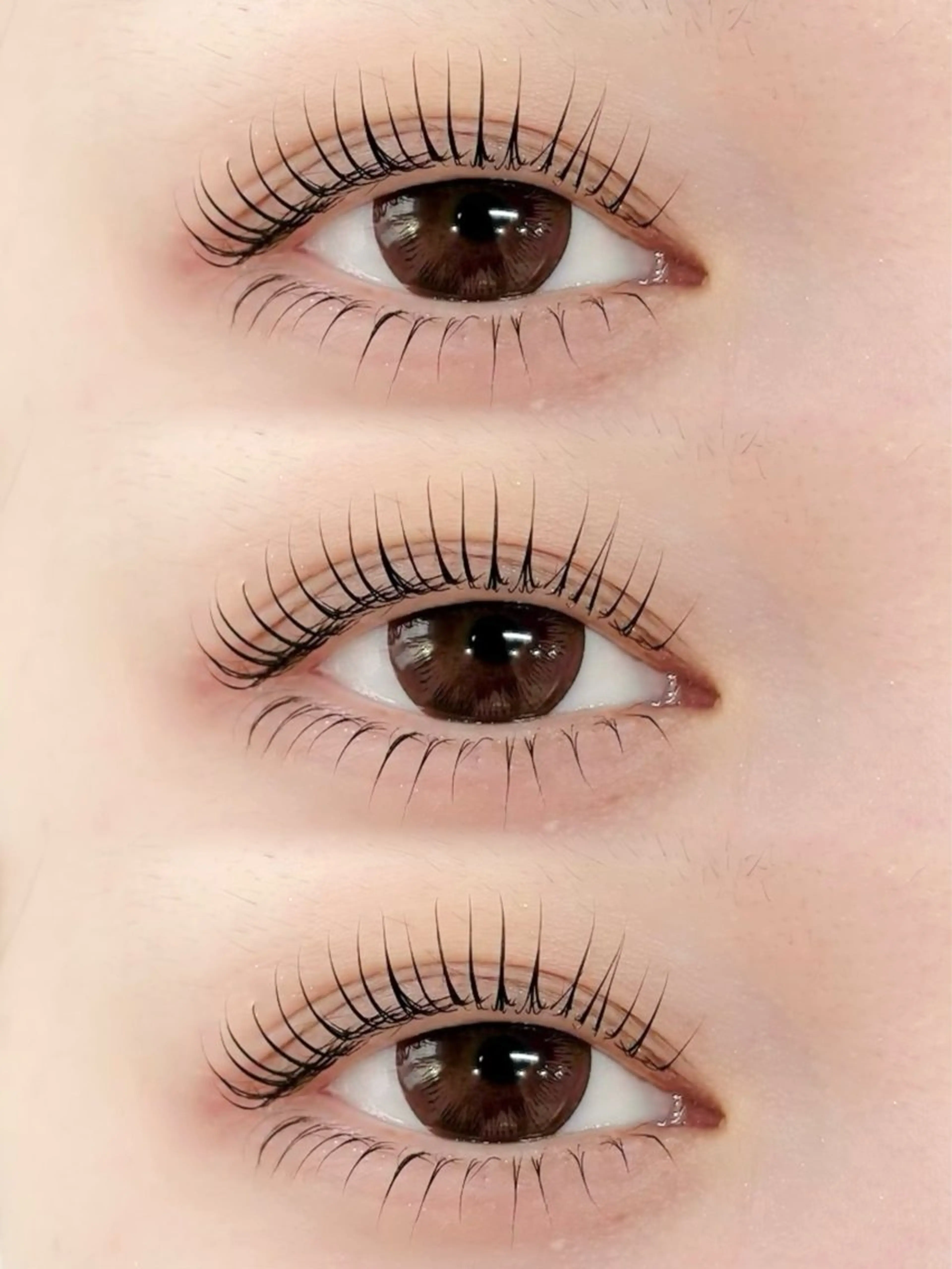 マツエク・マツパ マツパ WHITE EYE 🤍Mayukaの眉毛・アイブロウイメージ