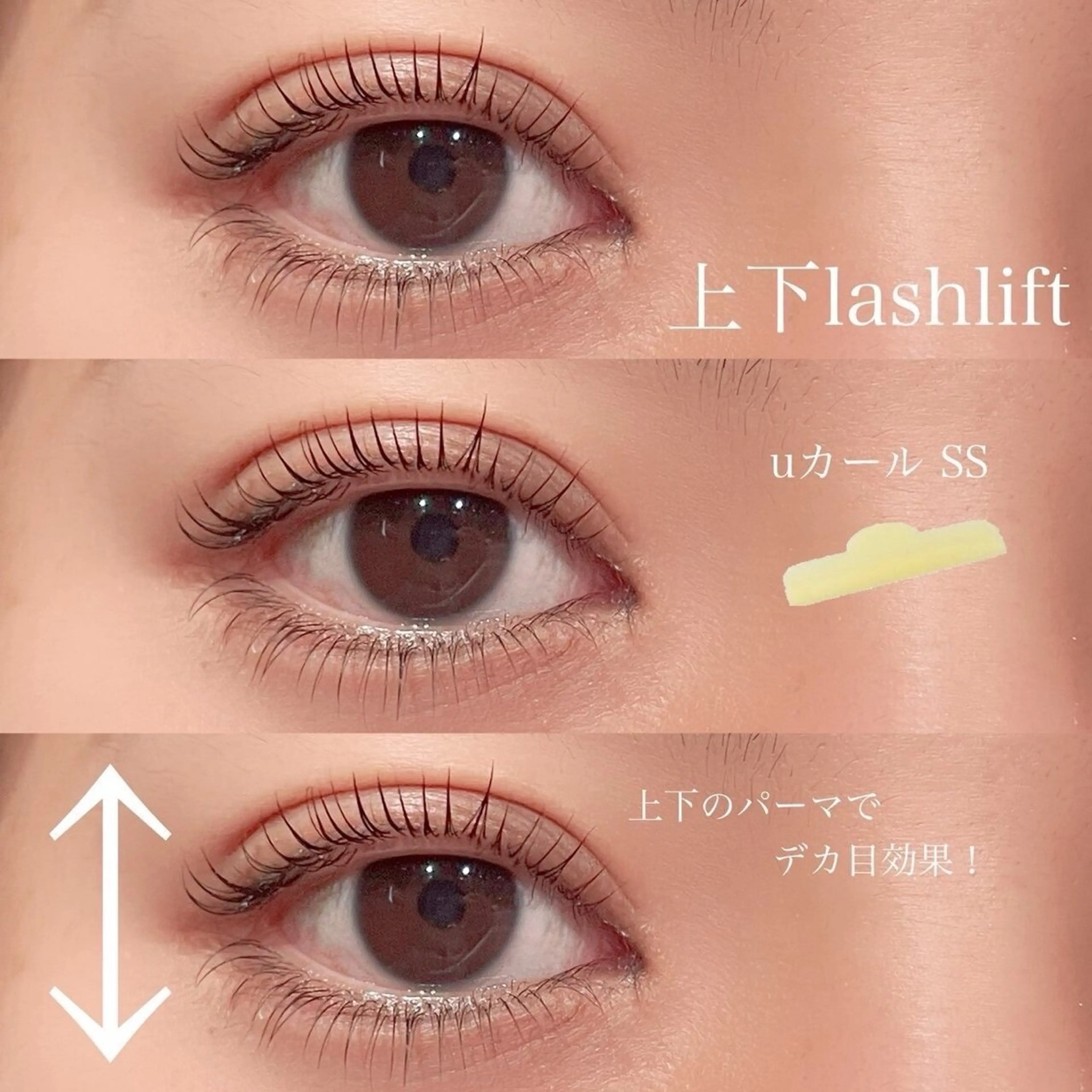 まつ毛パーマ上下の写真