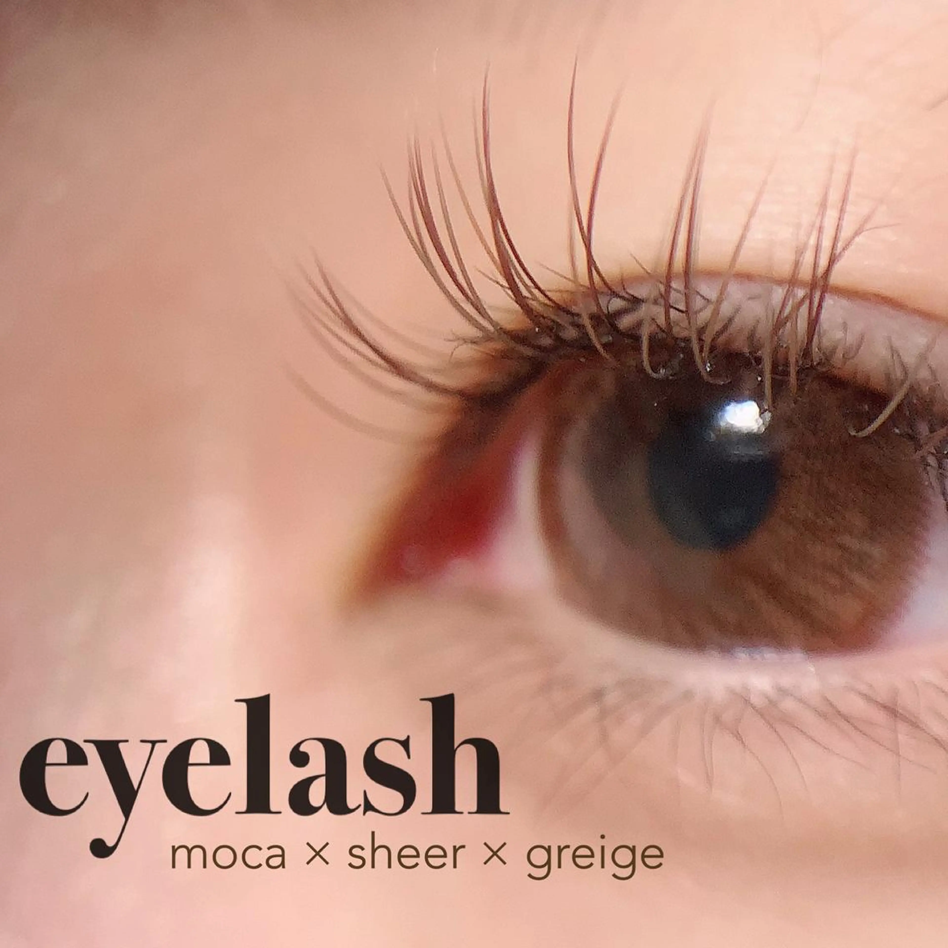 マツエク・マツパ fleur sr.所属・fleur sr. 桝のマツエク・マツパデザイン